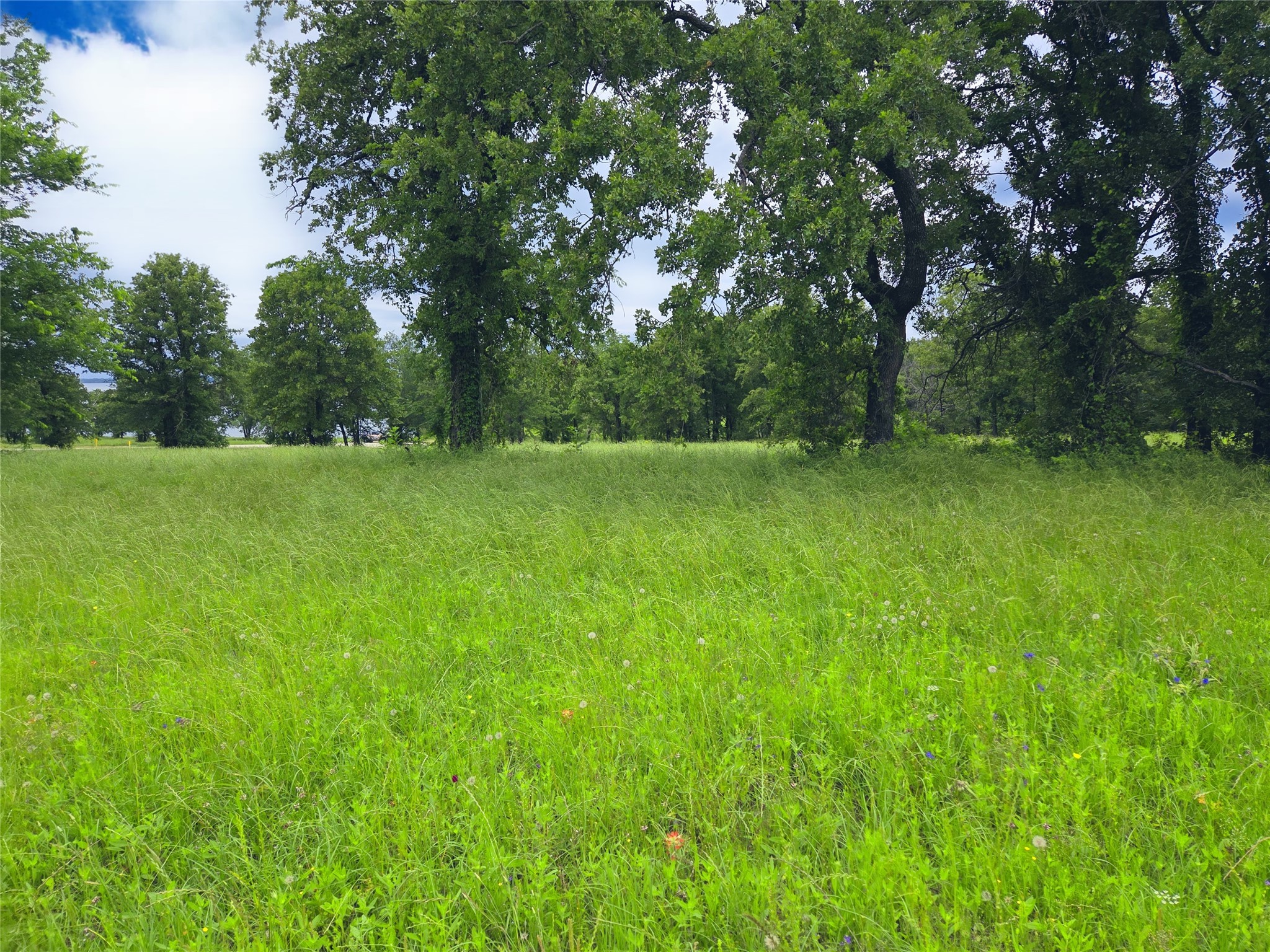 Lot 50 & BS#21 Paradise Cove