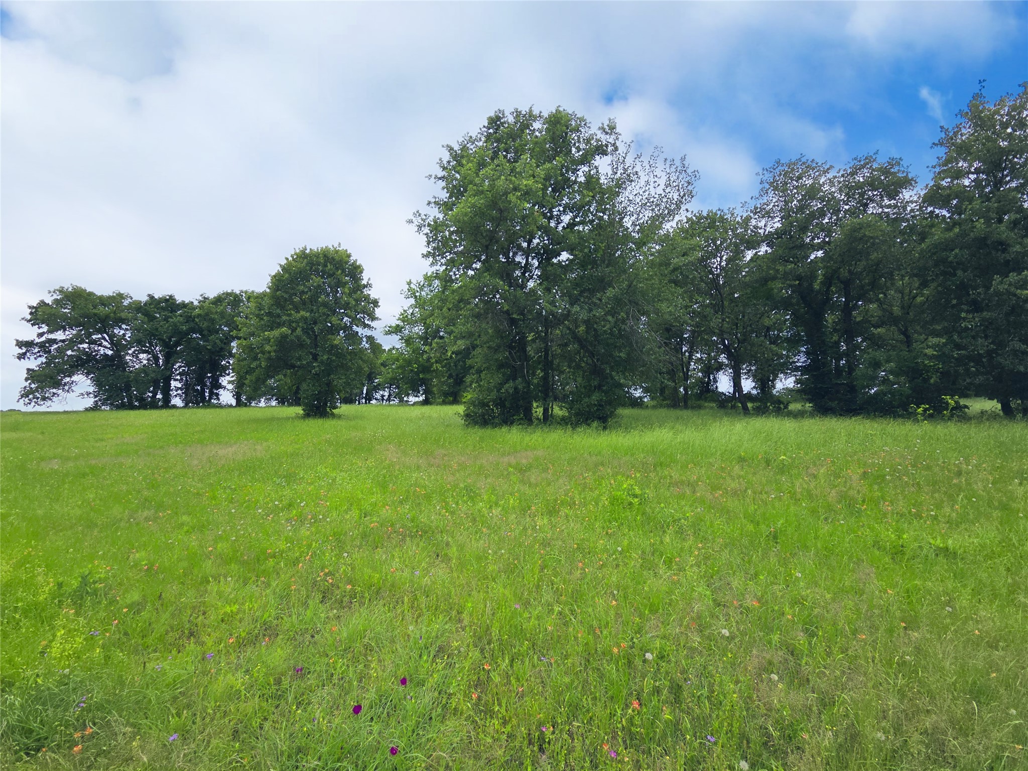 Lot 50 & BS#21 Paradise Cove
