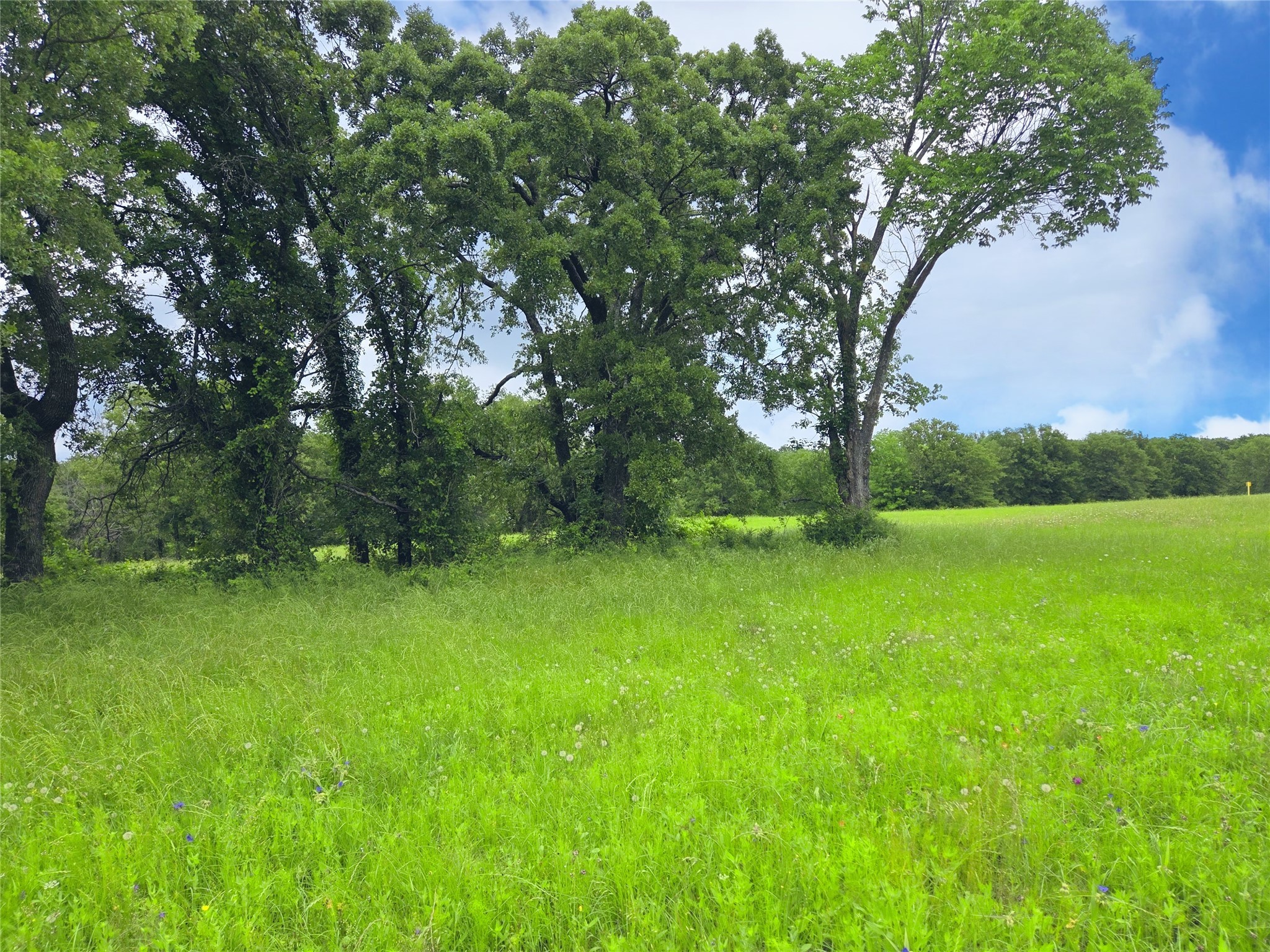 Lot 50 & BS#21 Paradise Cove
