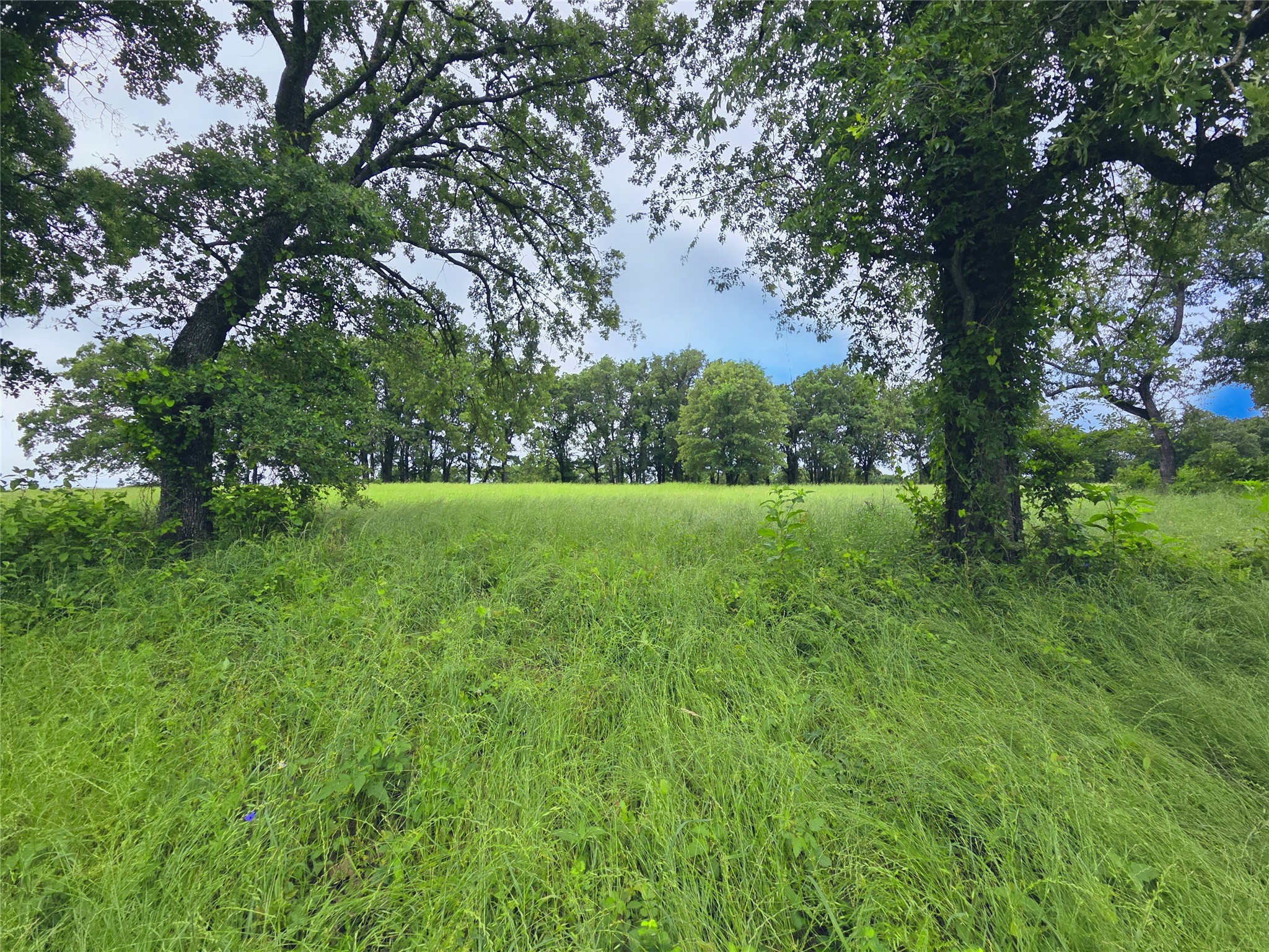 Lot 50 & BS#21 Paradise Cove