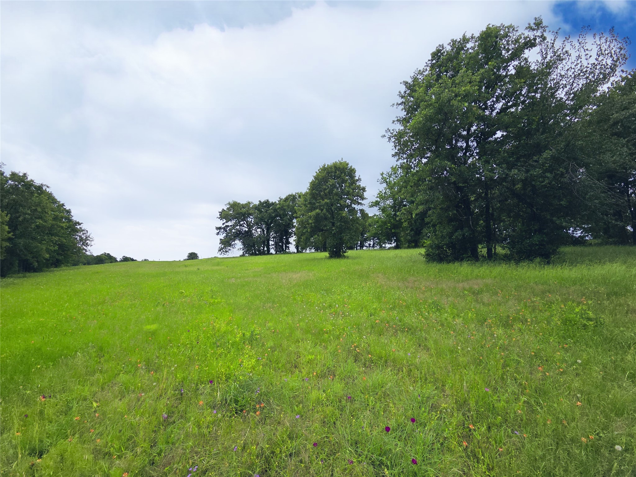 Lot 50 & BS#21 Paradise Cove