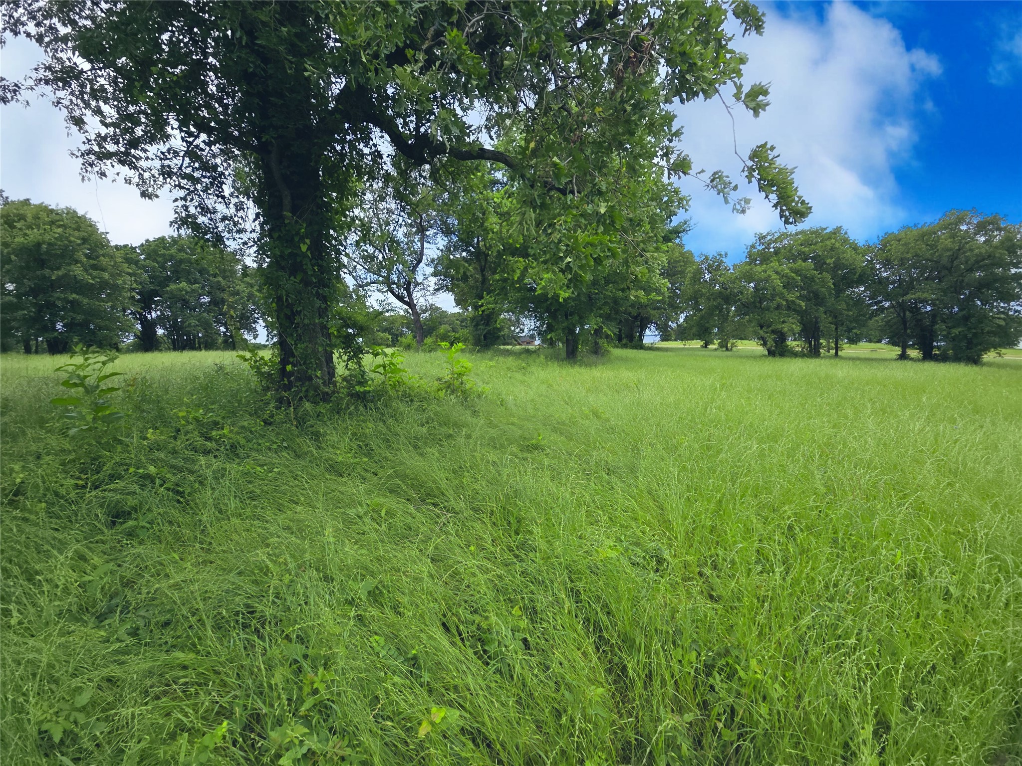 Lot 50 & BS#21 Paradise Cove