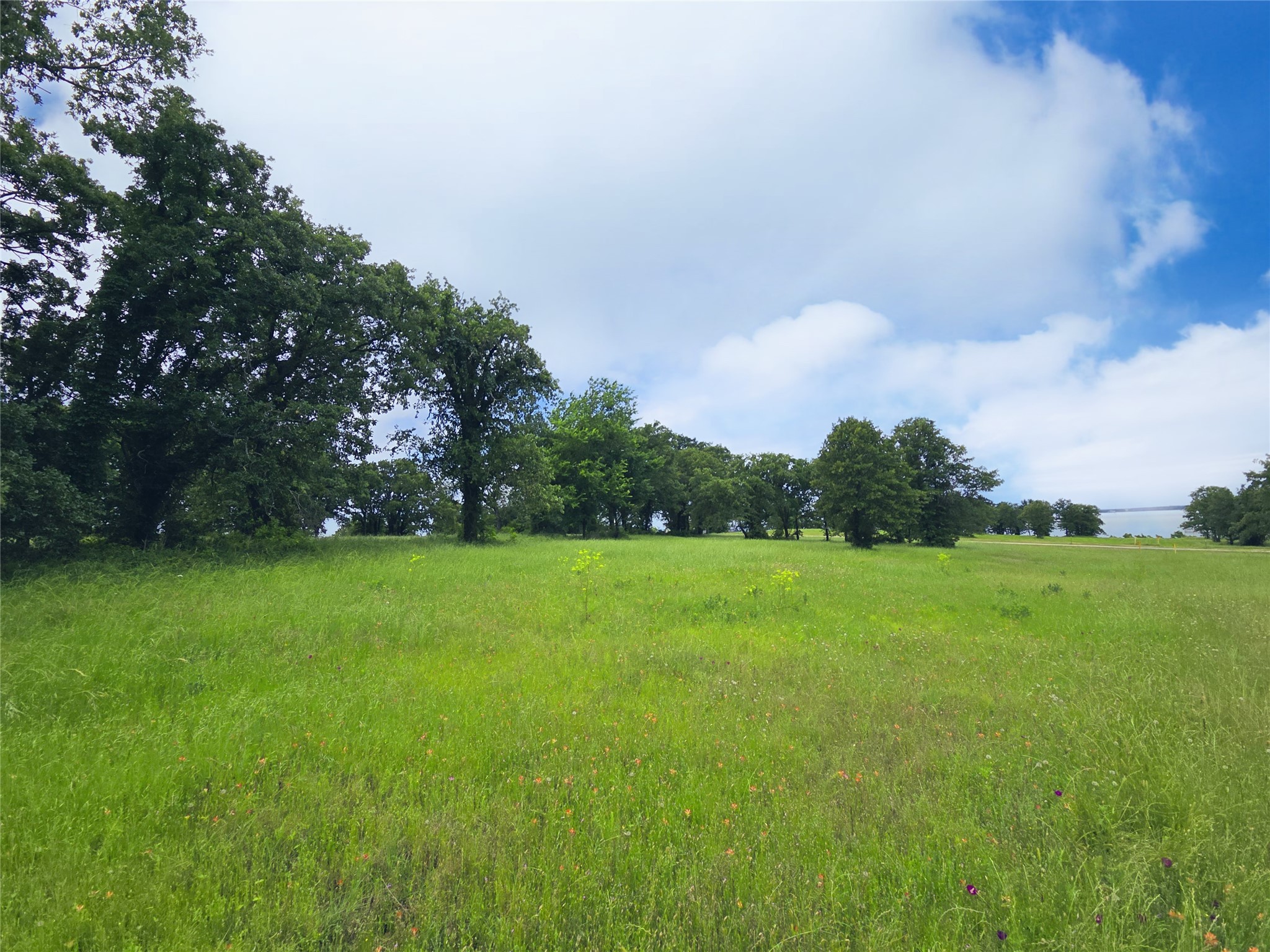 Lot 50 & BS#21 Paradise Cove
