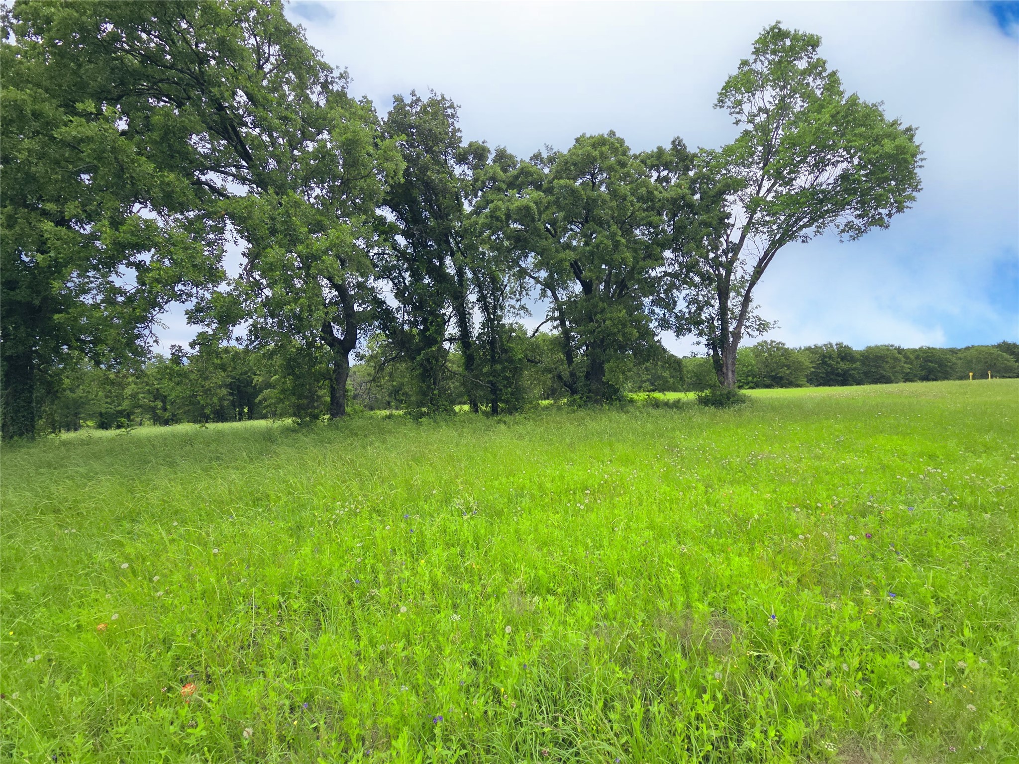 Lot 50 & BS#21 Paradise Cove