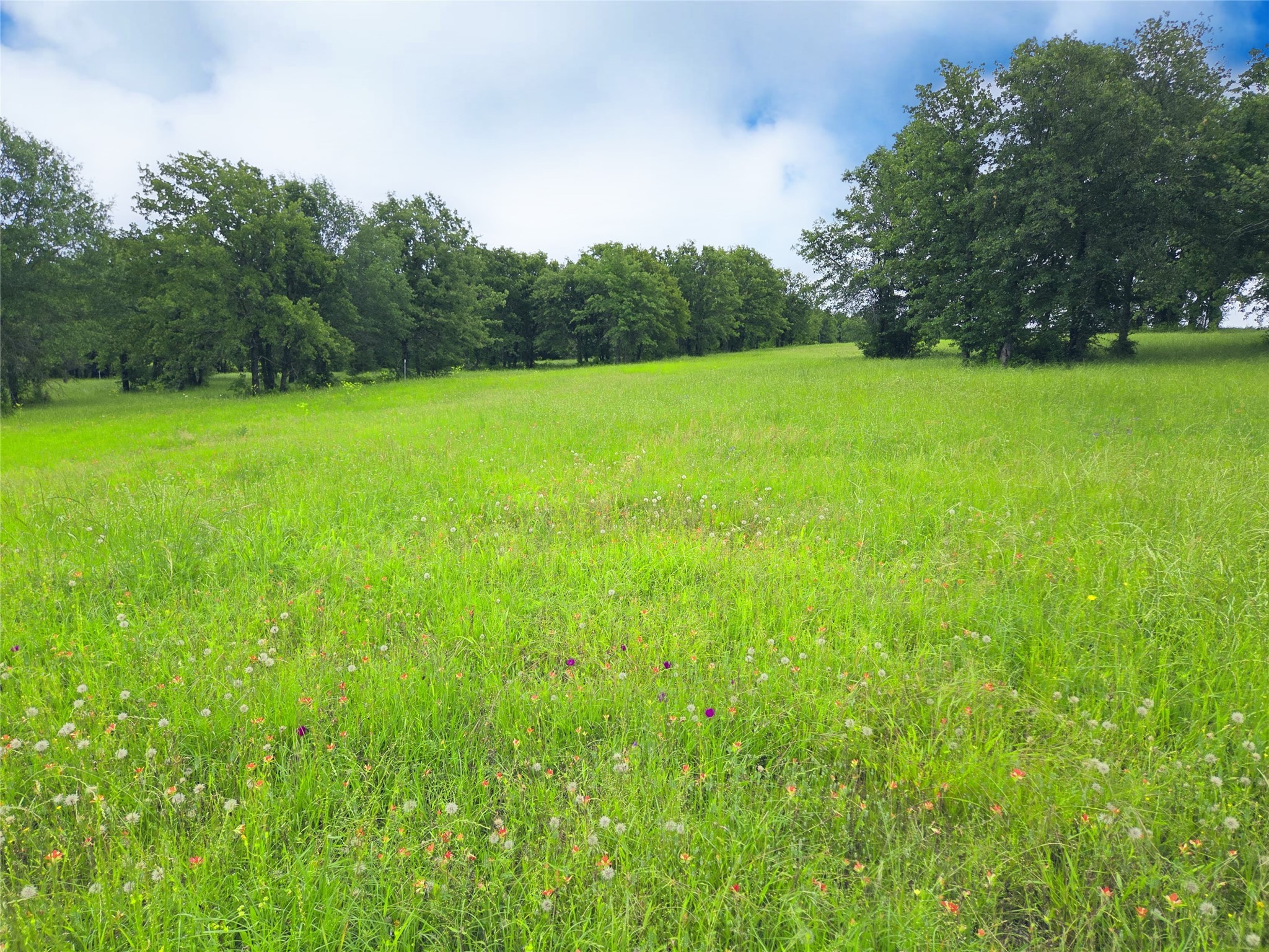 Lot 50 & BS#21 Paradise Cove