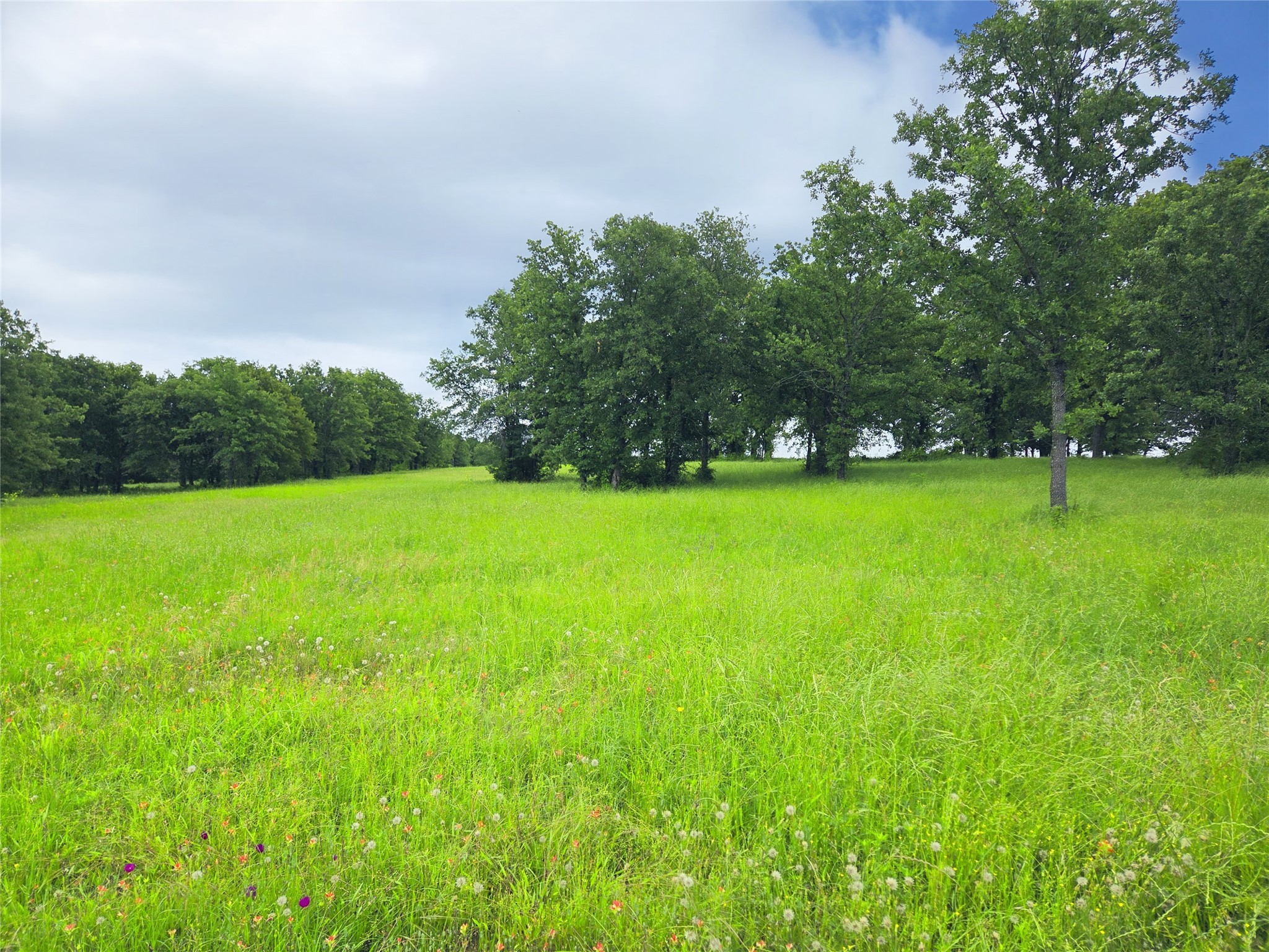 Lot 50 & BS#21 Paradise Cove