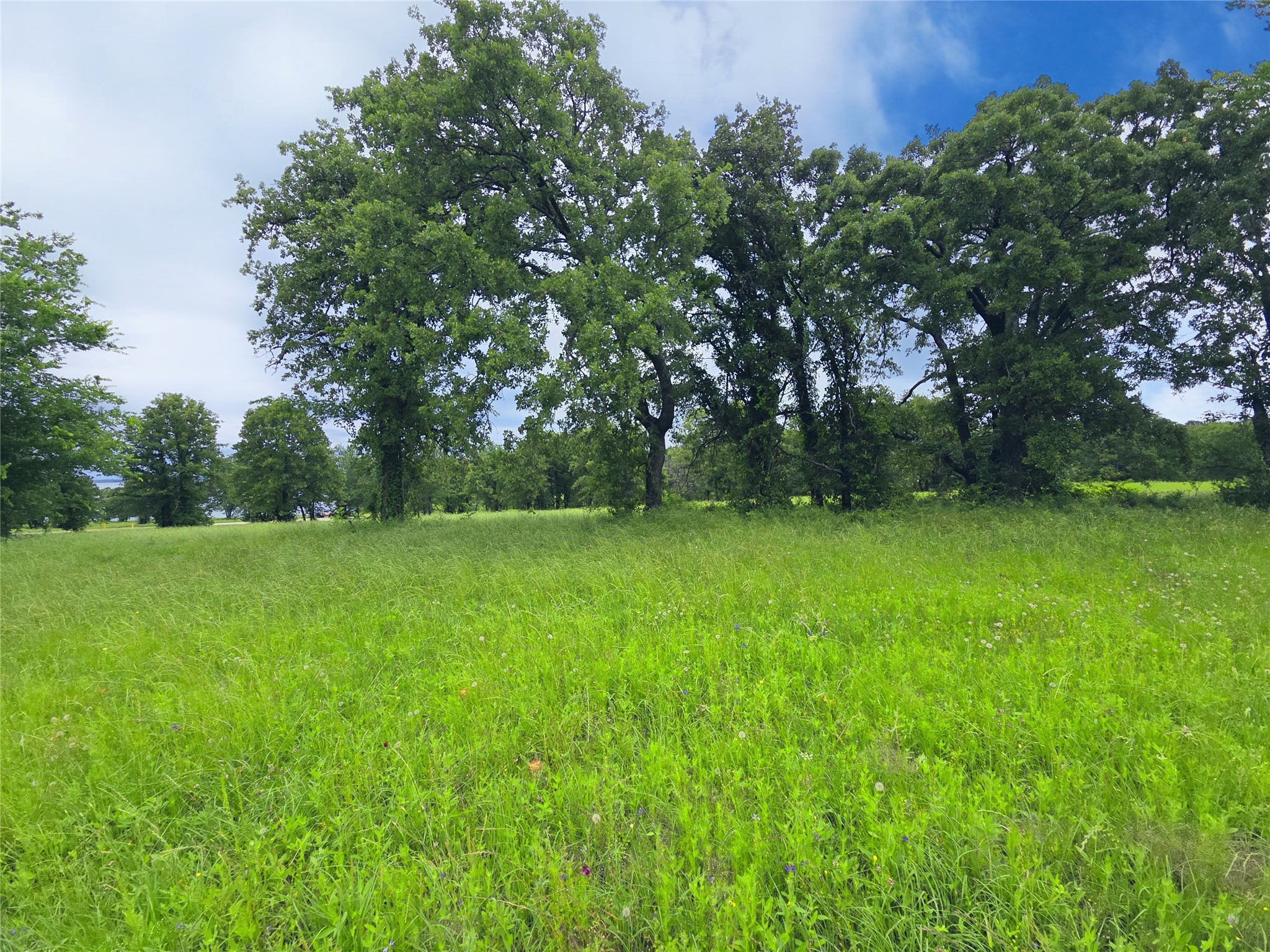 Lot 50 & BS#21 Paradise Cove