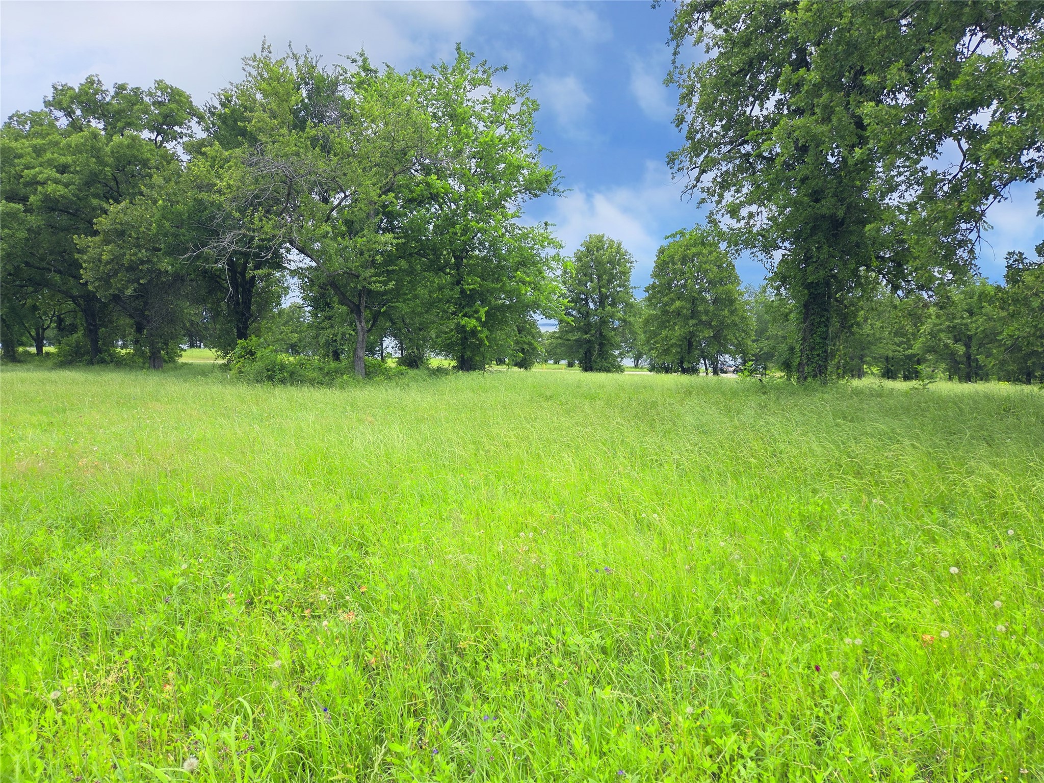 Lot 50 & BS#21 Paradise Cove