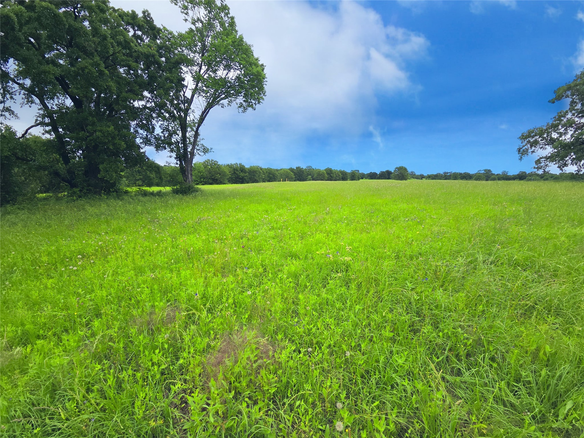 Lot 50 & BS#21 Paradise Cove