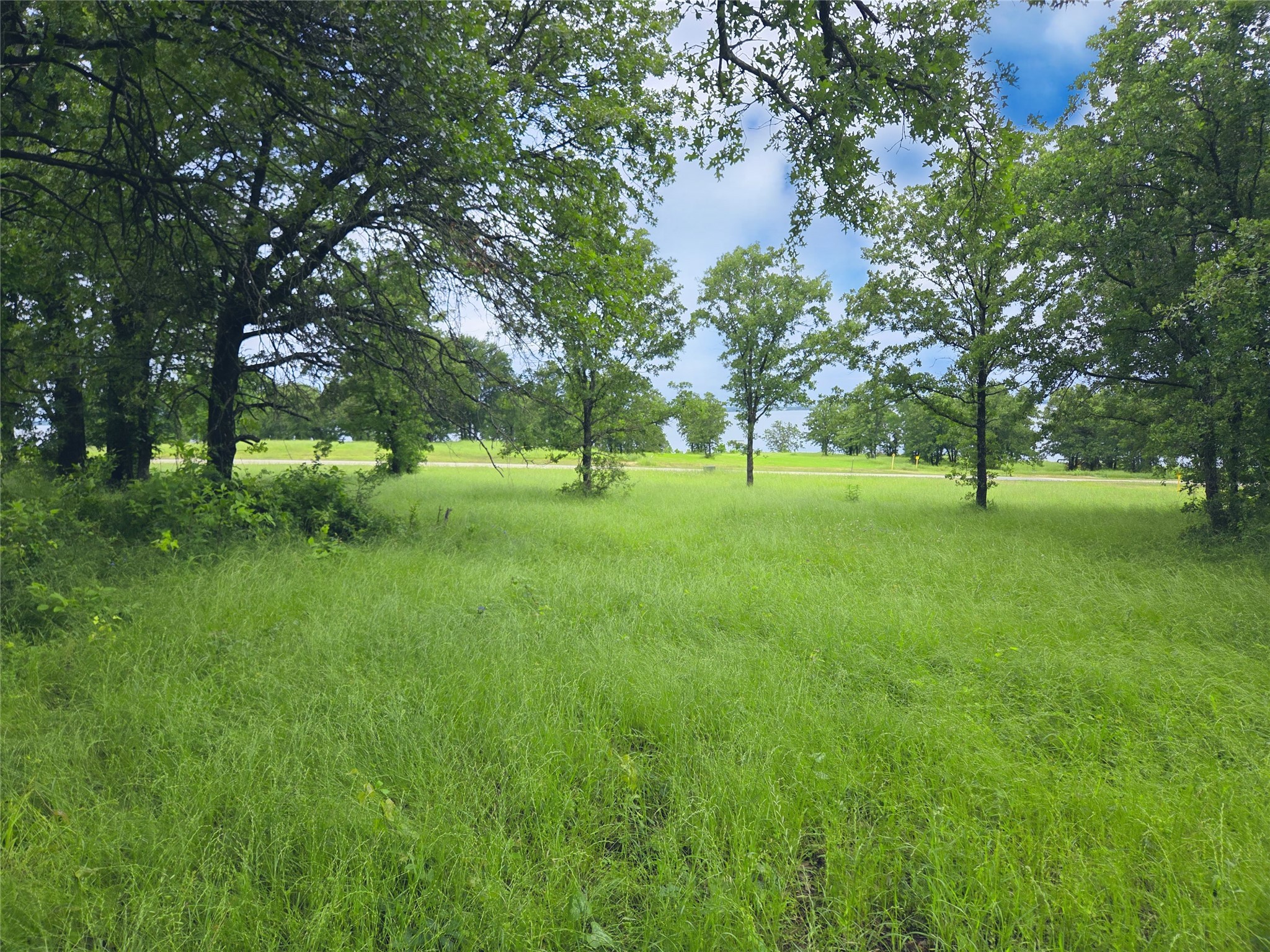 Lot 50 & BS#21 Paradise Cove