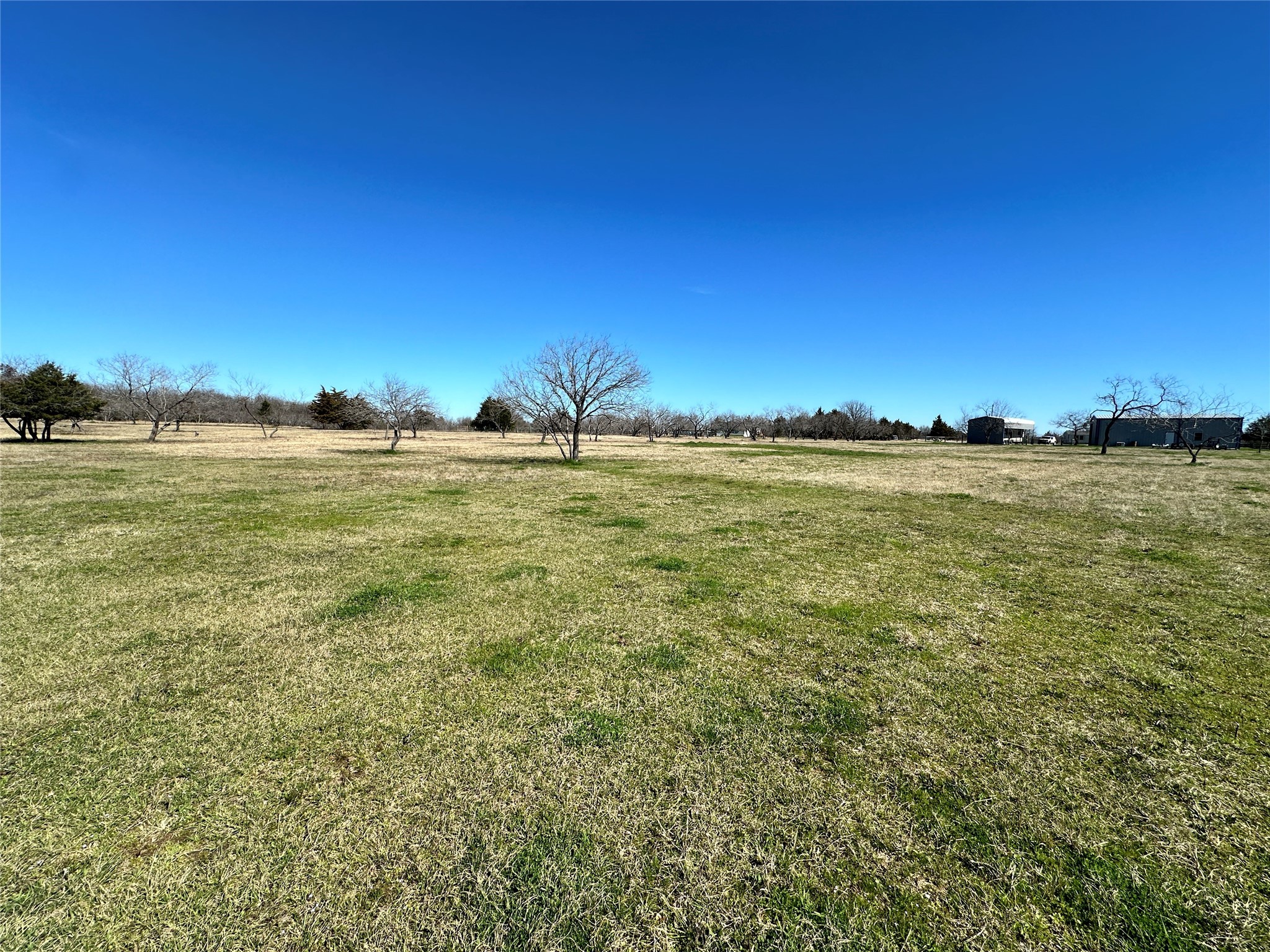 155 County Road 3144