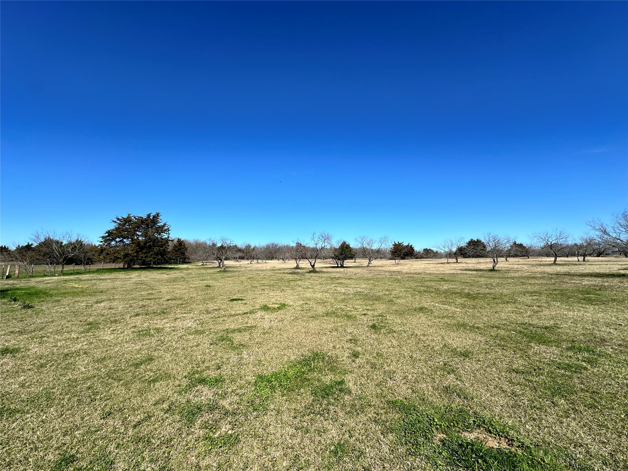 155 County Road 3144