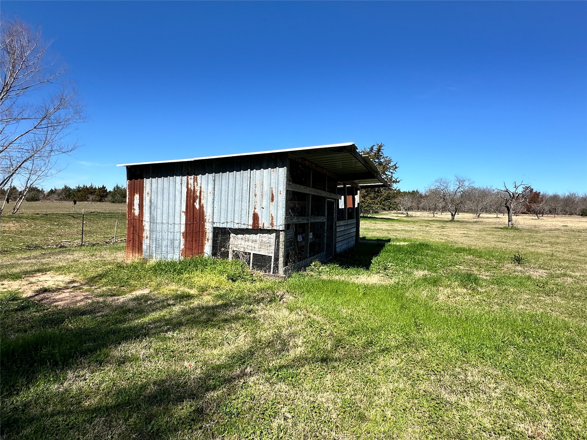 155 County Road 3144