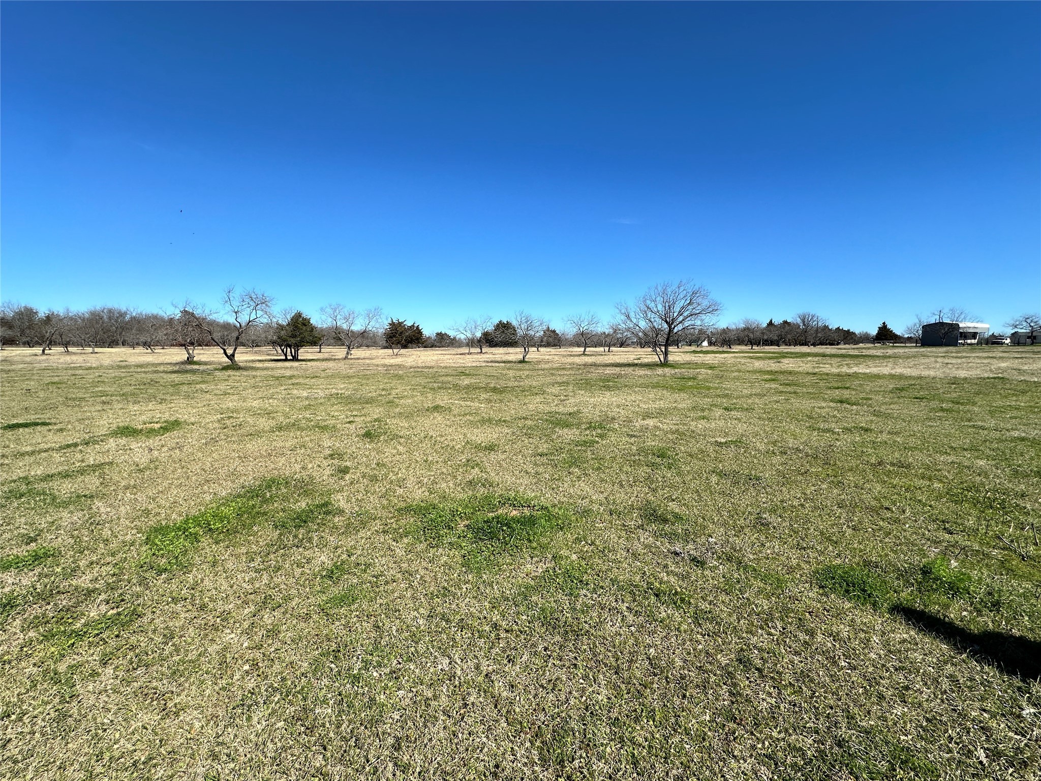 155 County Road 3144