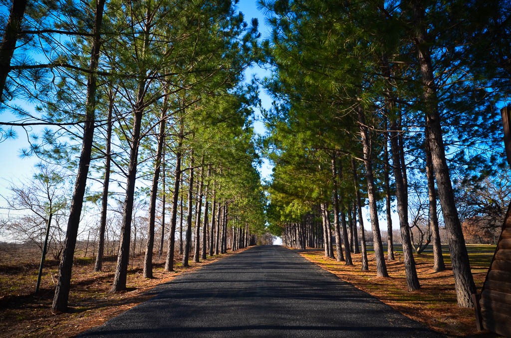L 59 Stonewall Drive