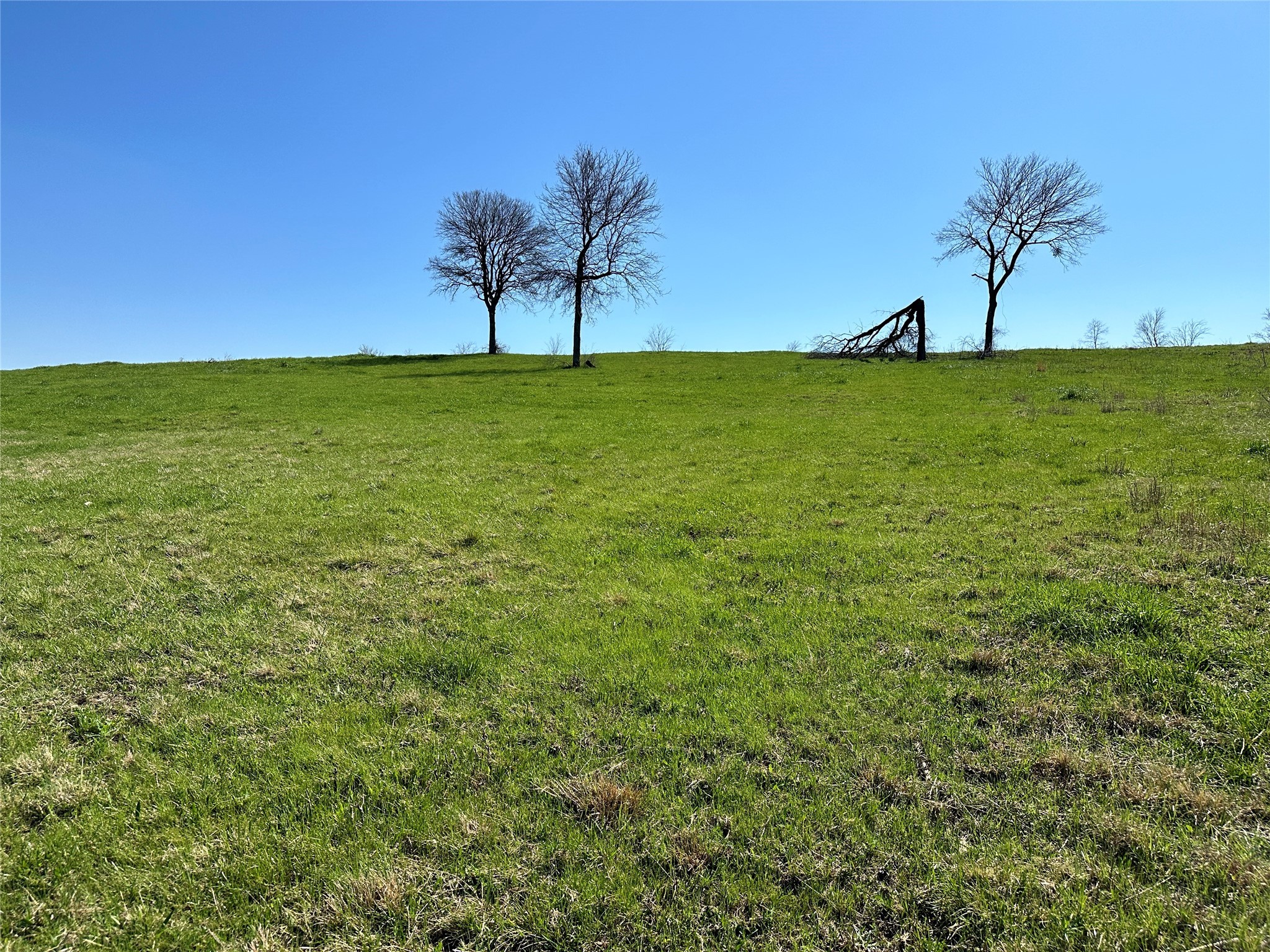 Lot 76 Richland Park Drive