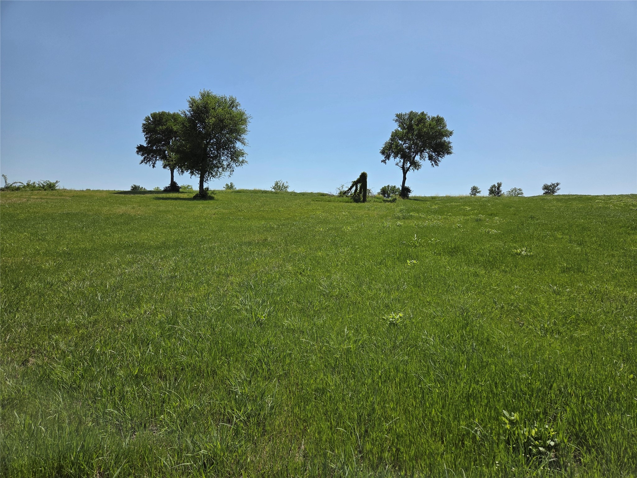 Lot 76 Richland Park Drive