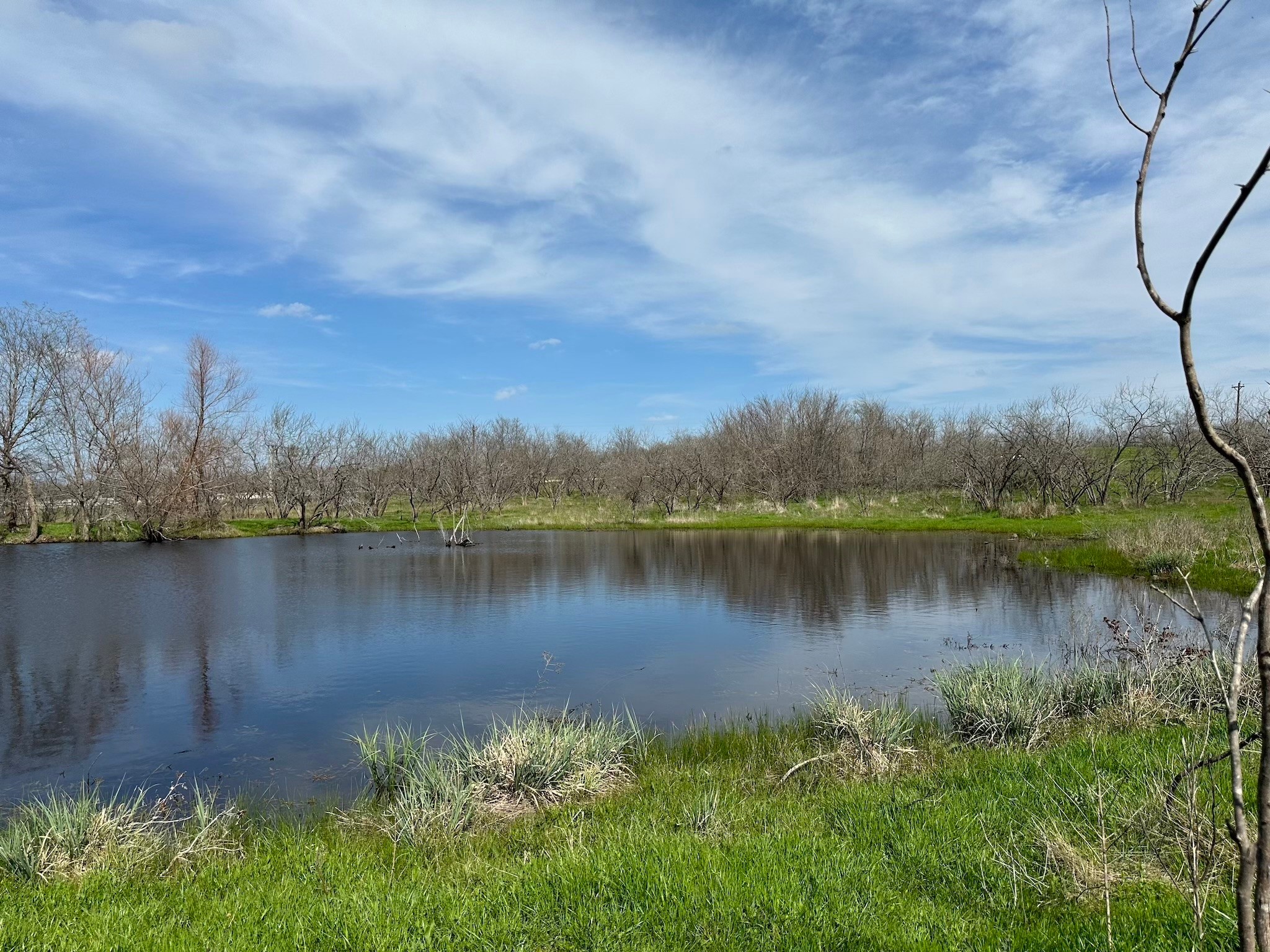 Tract 1B (70.63acs) Frontage Road I-45