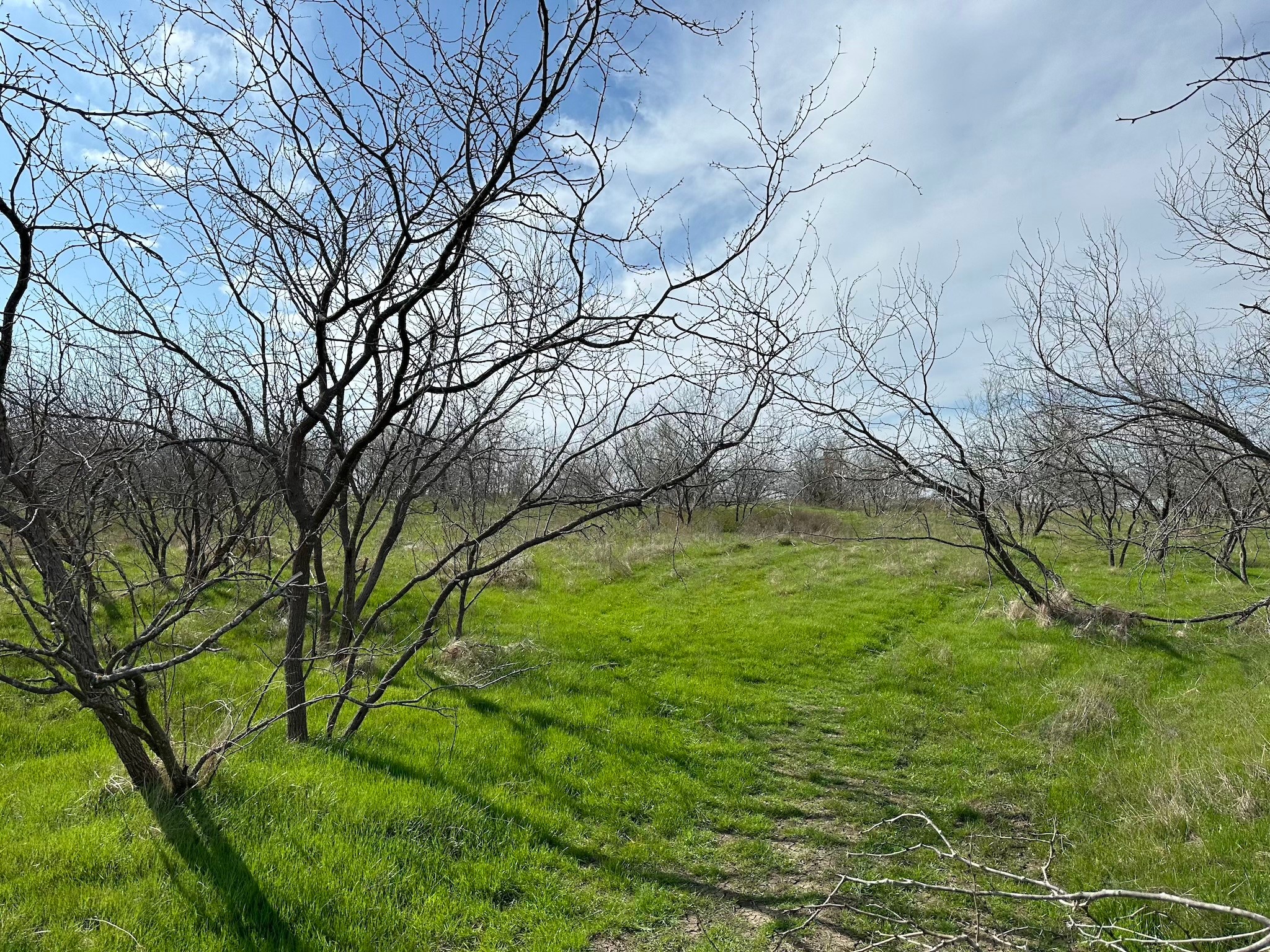 Tract 1B (70.63acs) Frontage Road I-45