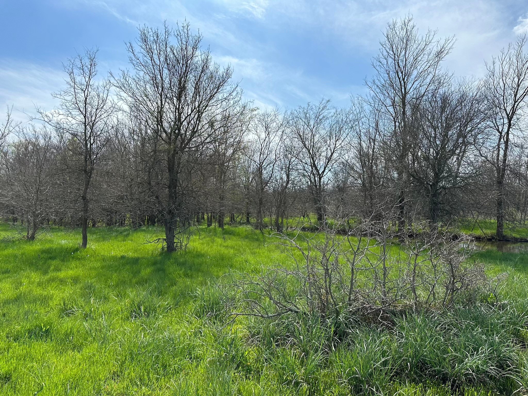 Tract 1B (70.63acs) Frontage Road I-45