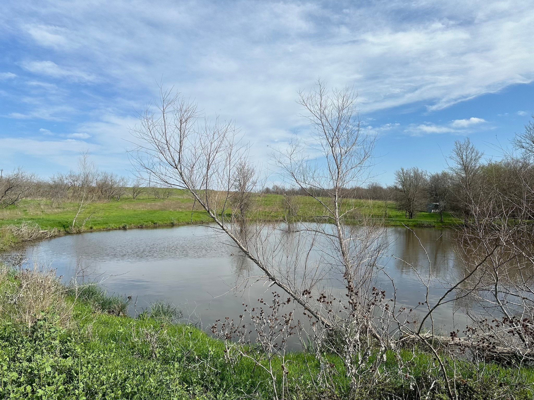 Tract 1B (70.63acs) Frontage Road I-45