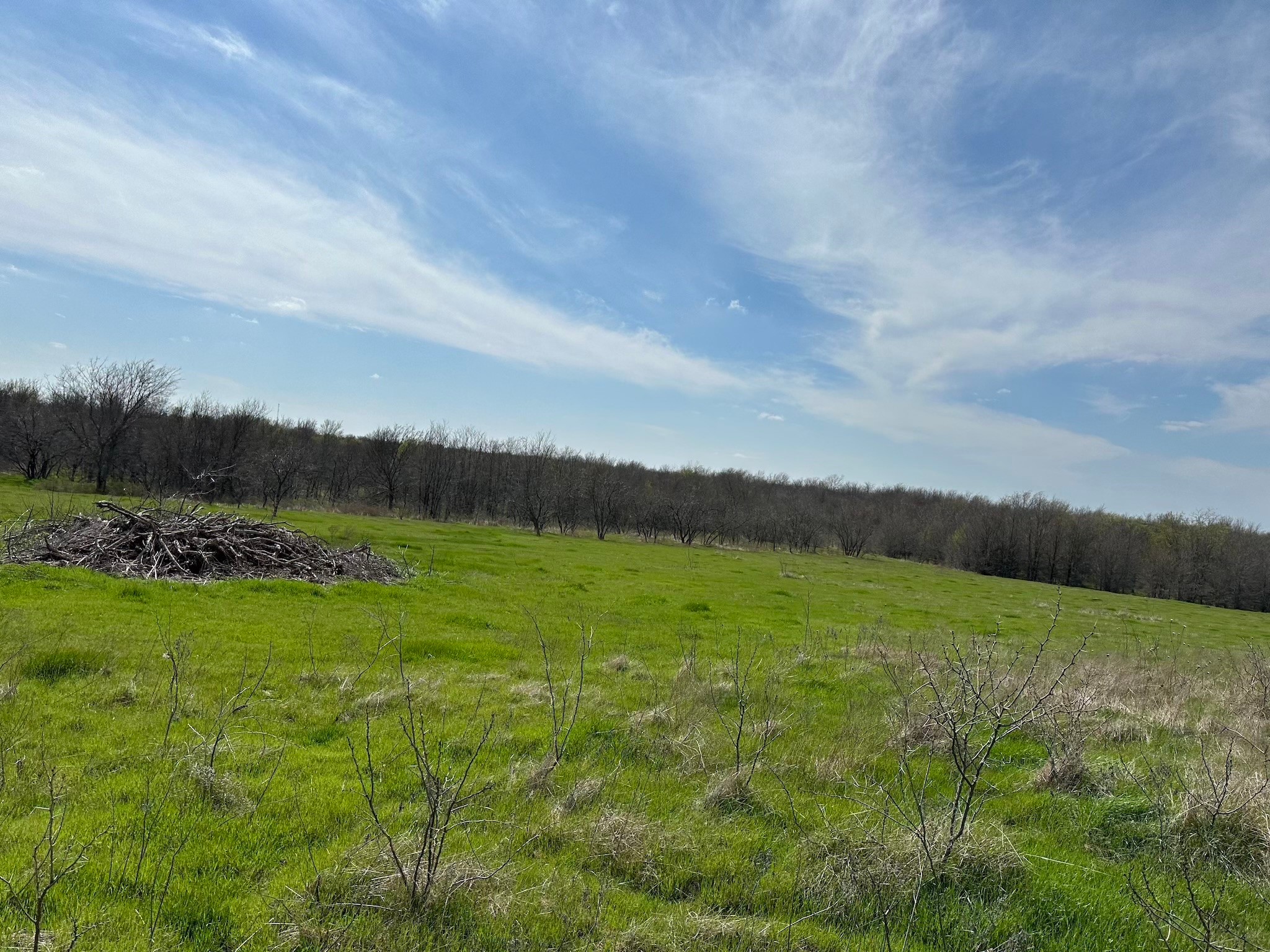 Tract 1B (70.63acs) Frontage Road I-45