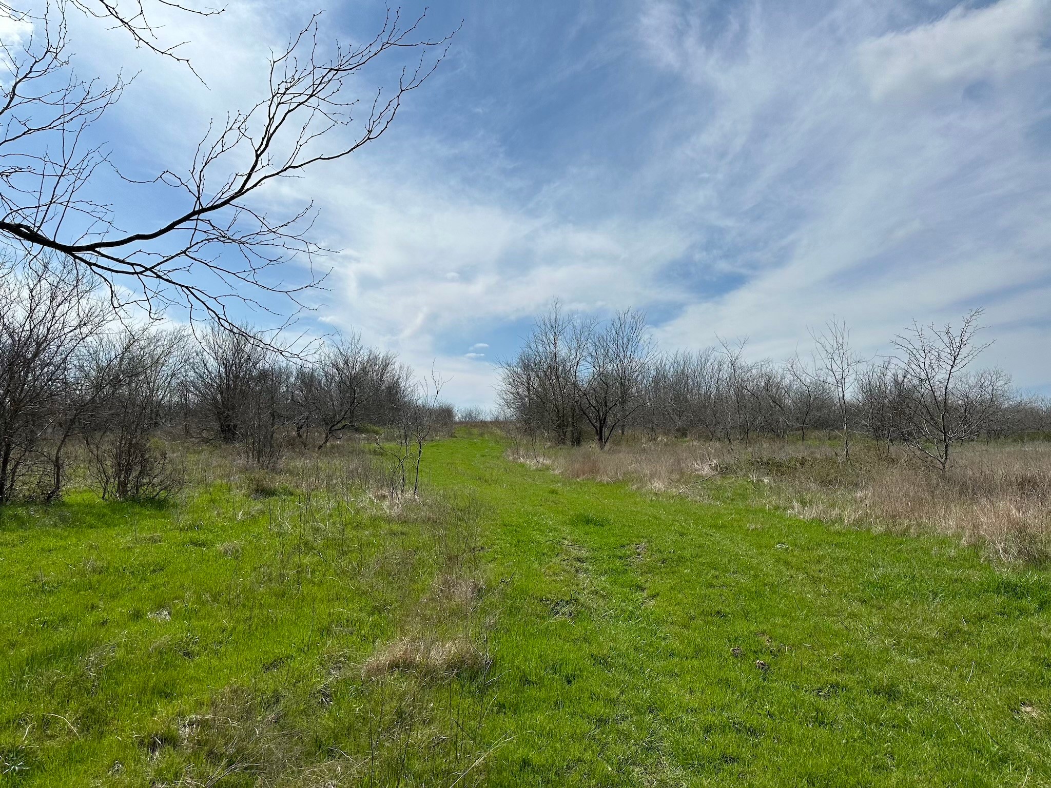 Tract 1B (70.63acs) Frontage Road I-45