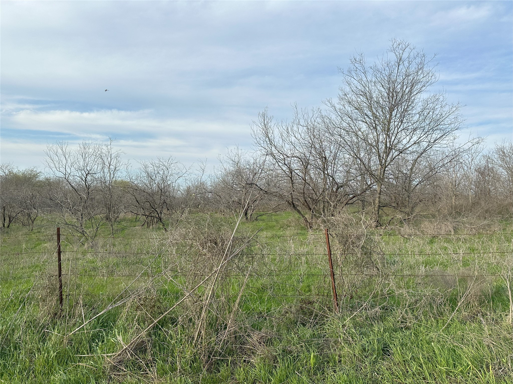 Tract 1C (16.69 acres) SW County Road 2360