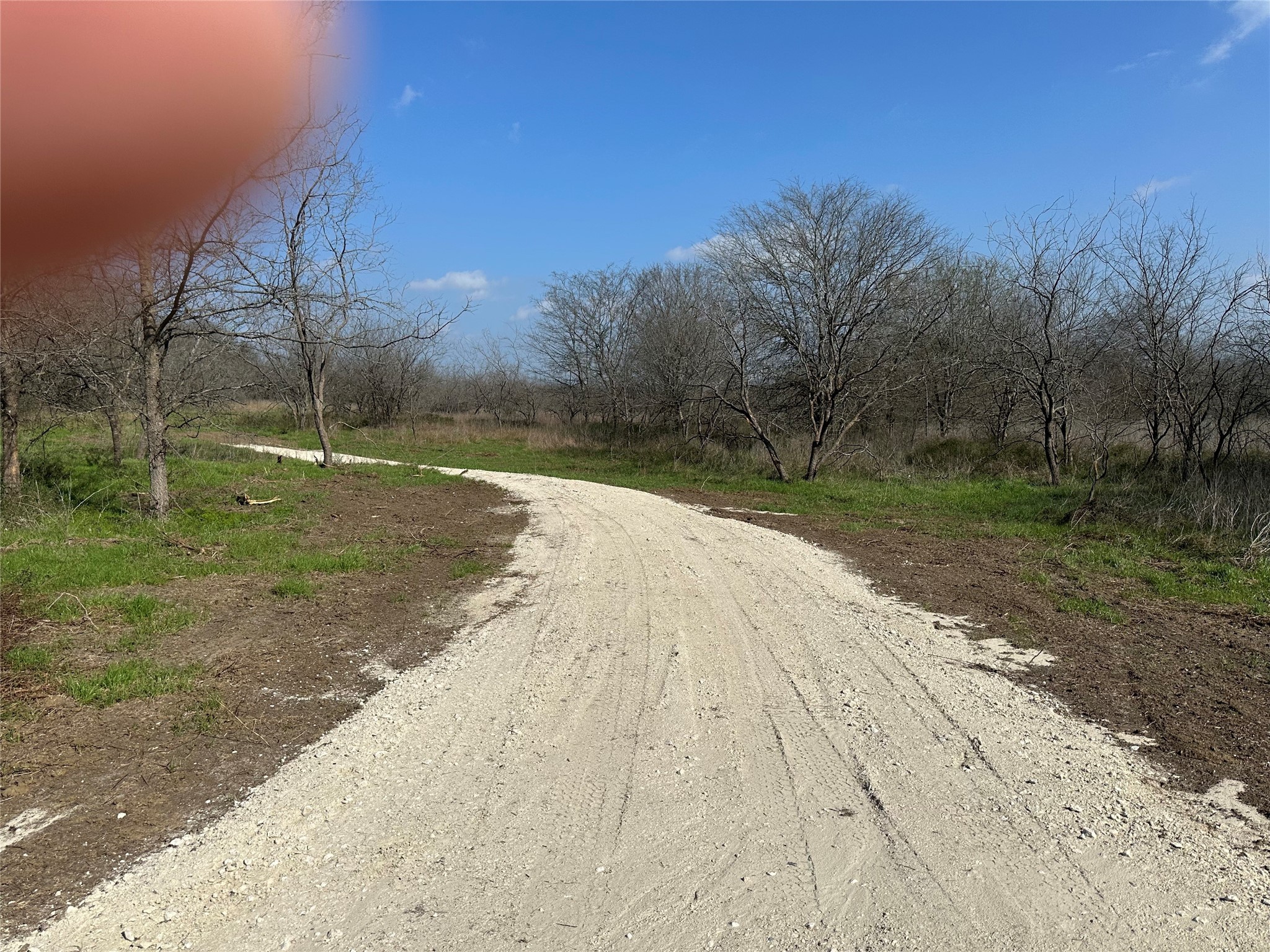 Tract 1C (16.69 acres) SW County Road 2360