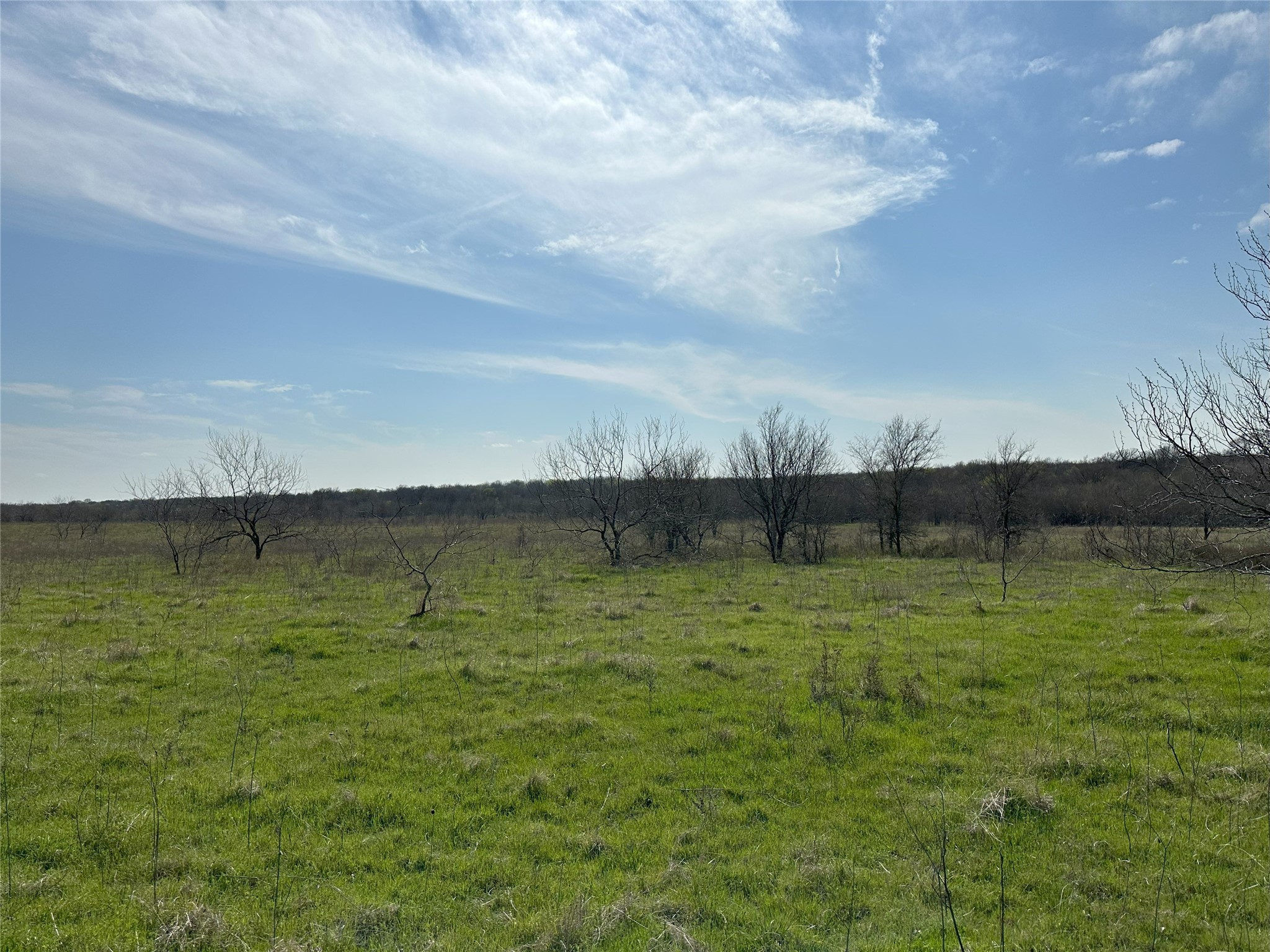 Tract 1C (16.69 acres) SW County Road 2360