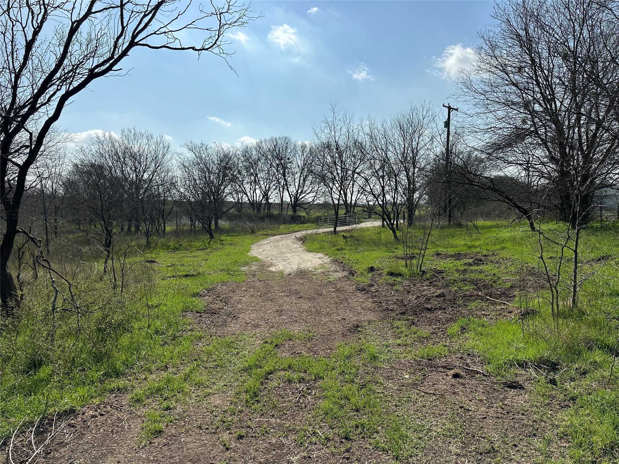 Tract 1C (16.69 acres) SW County Road 2360