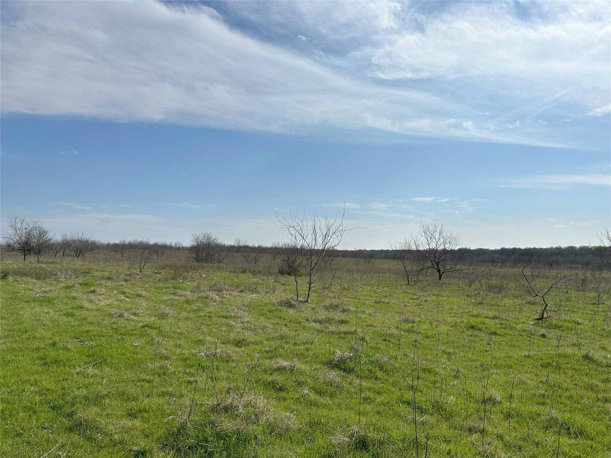 Tract 1C (16.69 acres) SW County Road 2360