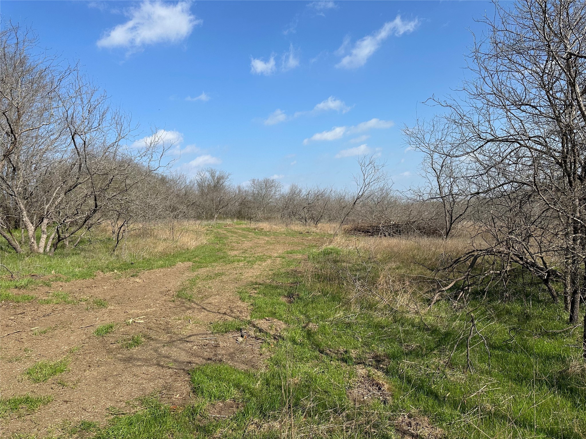 Tract 1C (16.69 acres) SW County Road 2360