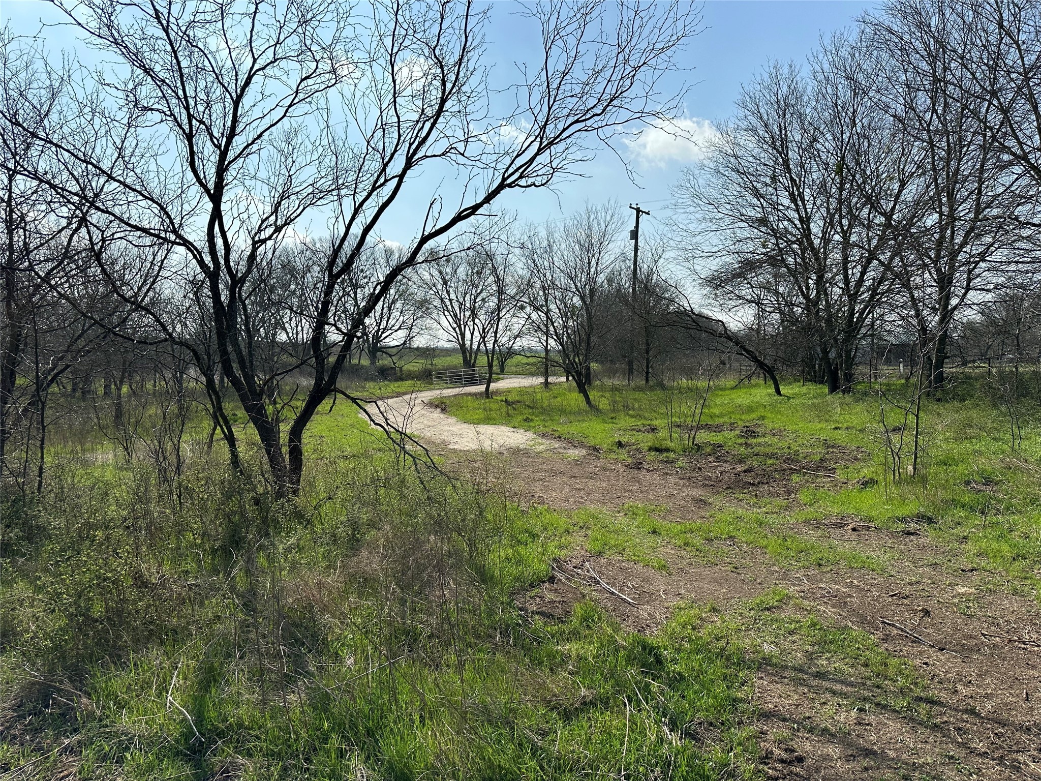 Tract 1C (16.69 acres) SW County Road 2360