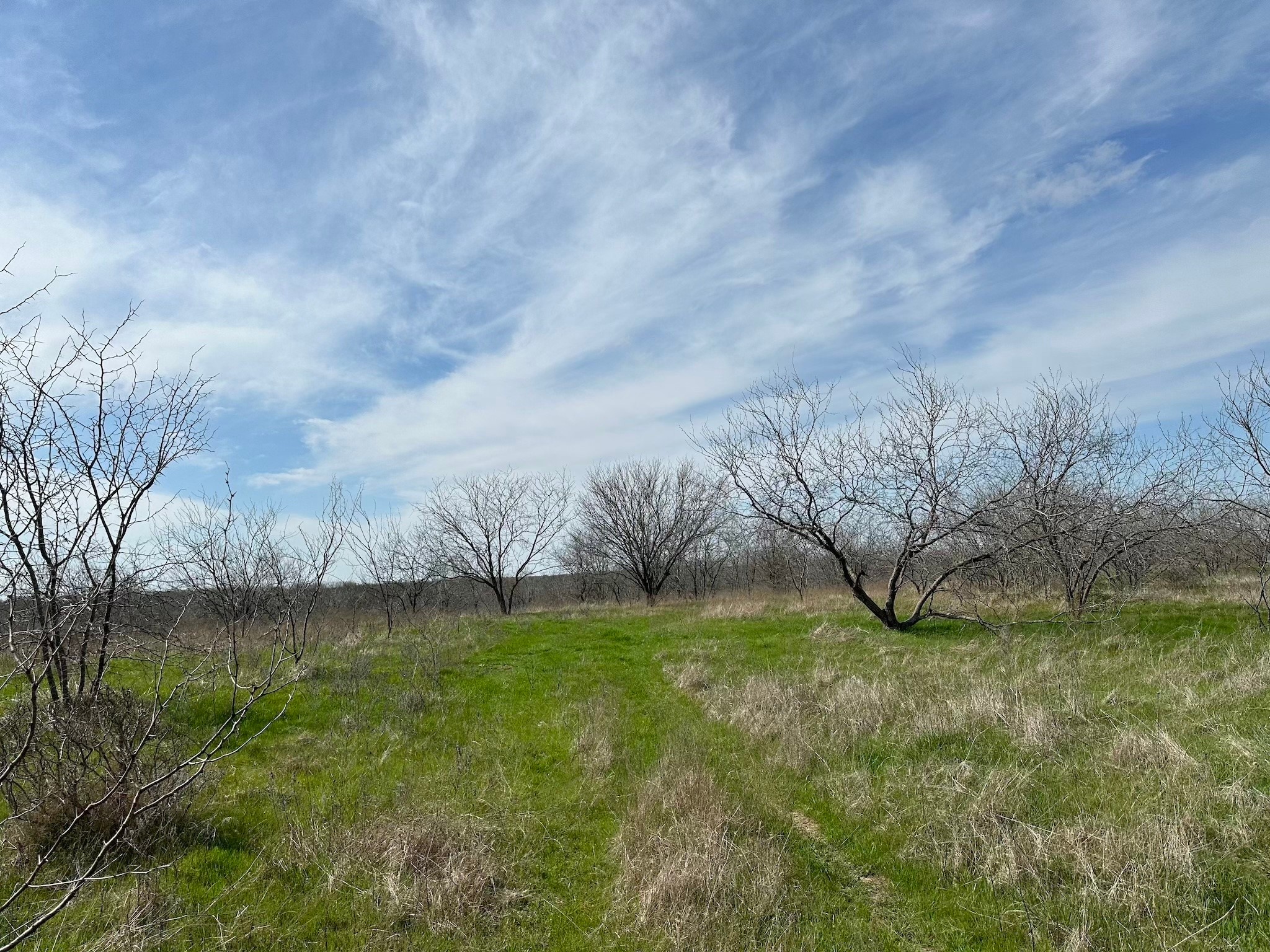 Tract 1A (42.11acs) SW Frontage Road I-45