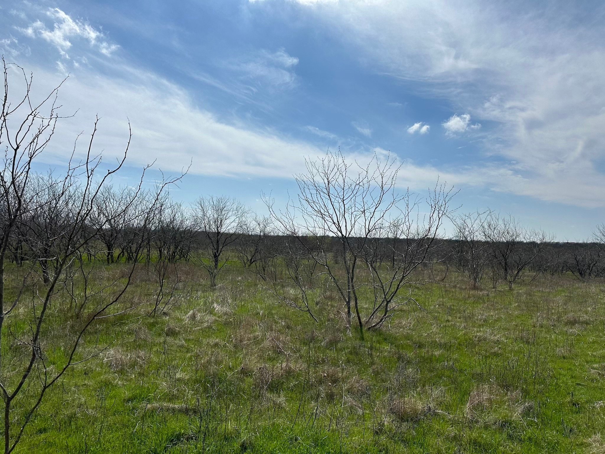 Tract 1A (42.11acs) SW Frontage Road I-45