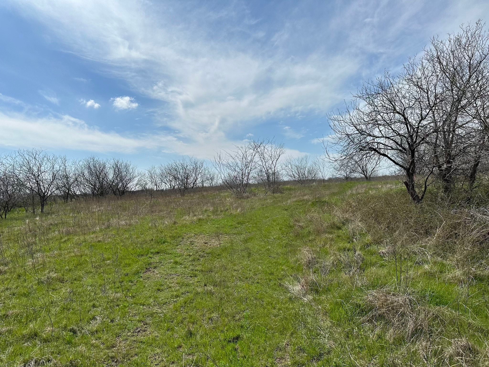 Tract 1A (42.11acs) SW Frontage Road I-45