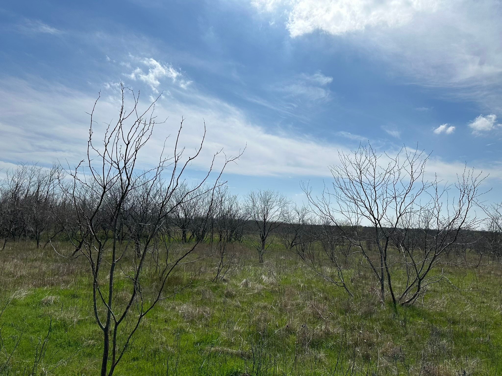Tract 1A (42.11acs) SW Frontage Road I-45
