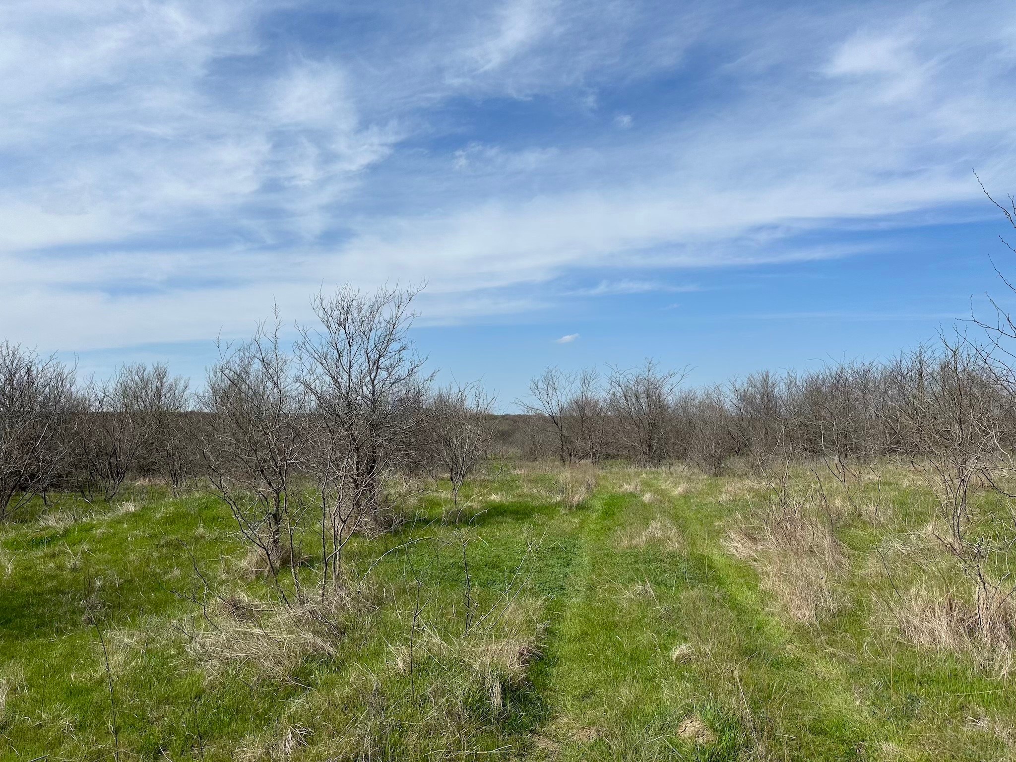 Tract 1A (42.11acs) SW Frontage Road I-45