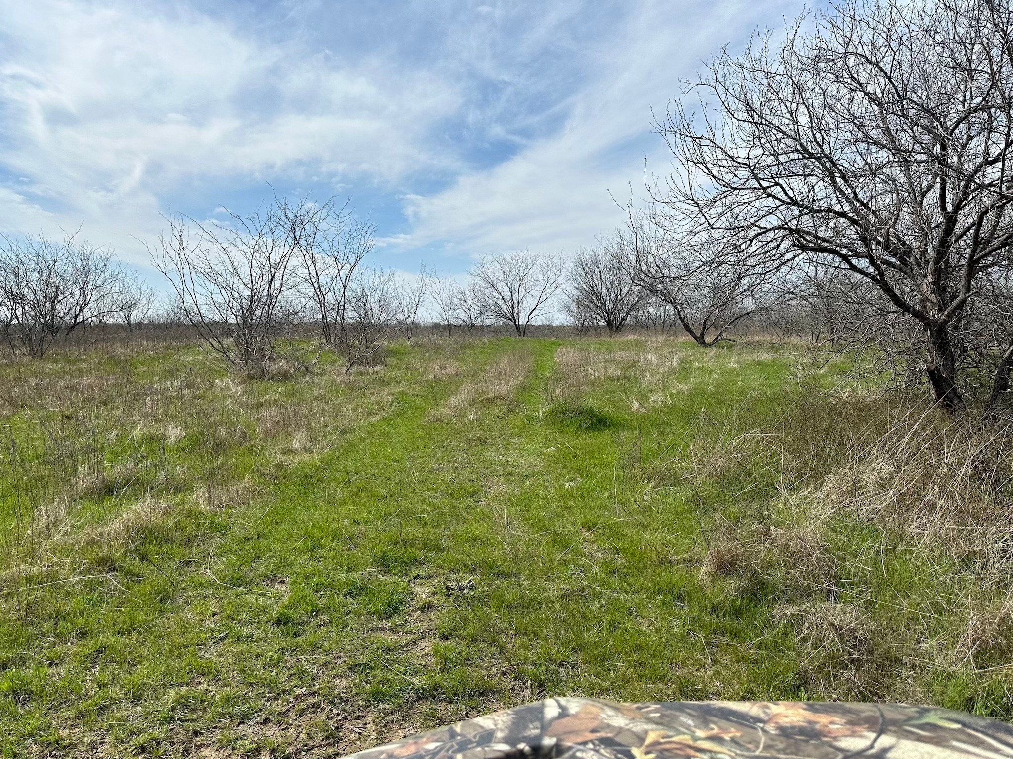 Tract 1A (42.11acs) SW Frontage Road I-45