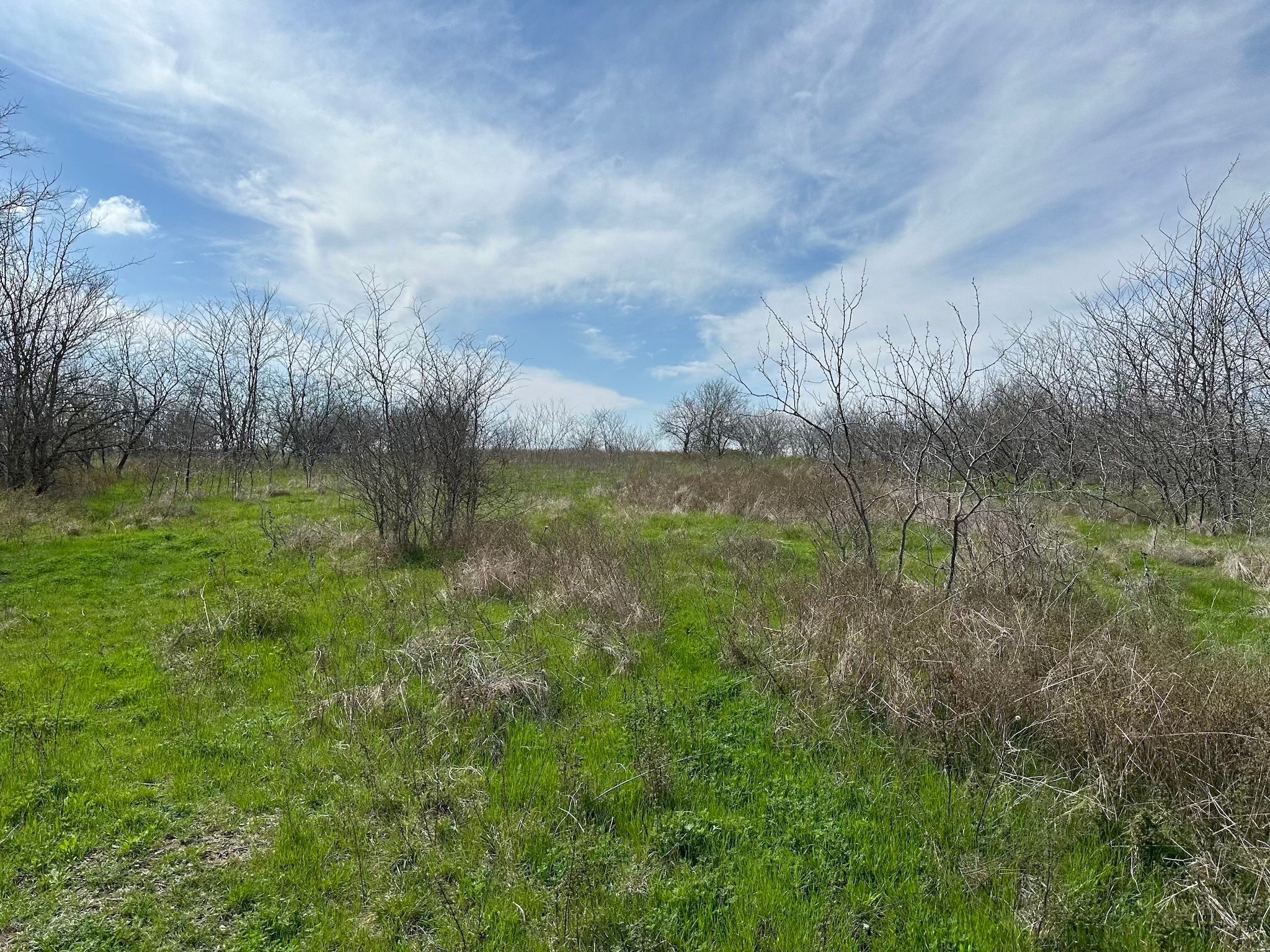 Tract 1A (42.11acs) SW Frontage Road I-45
