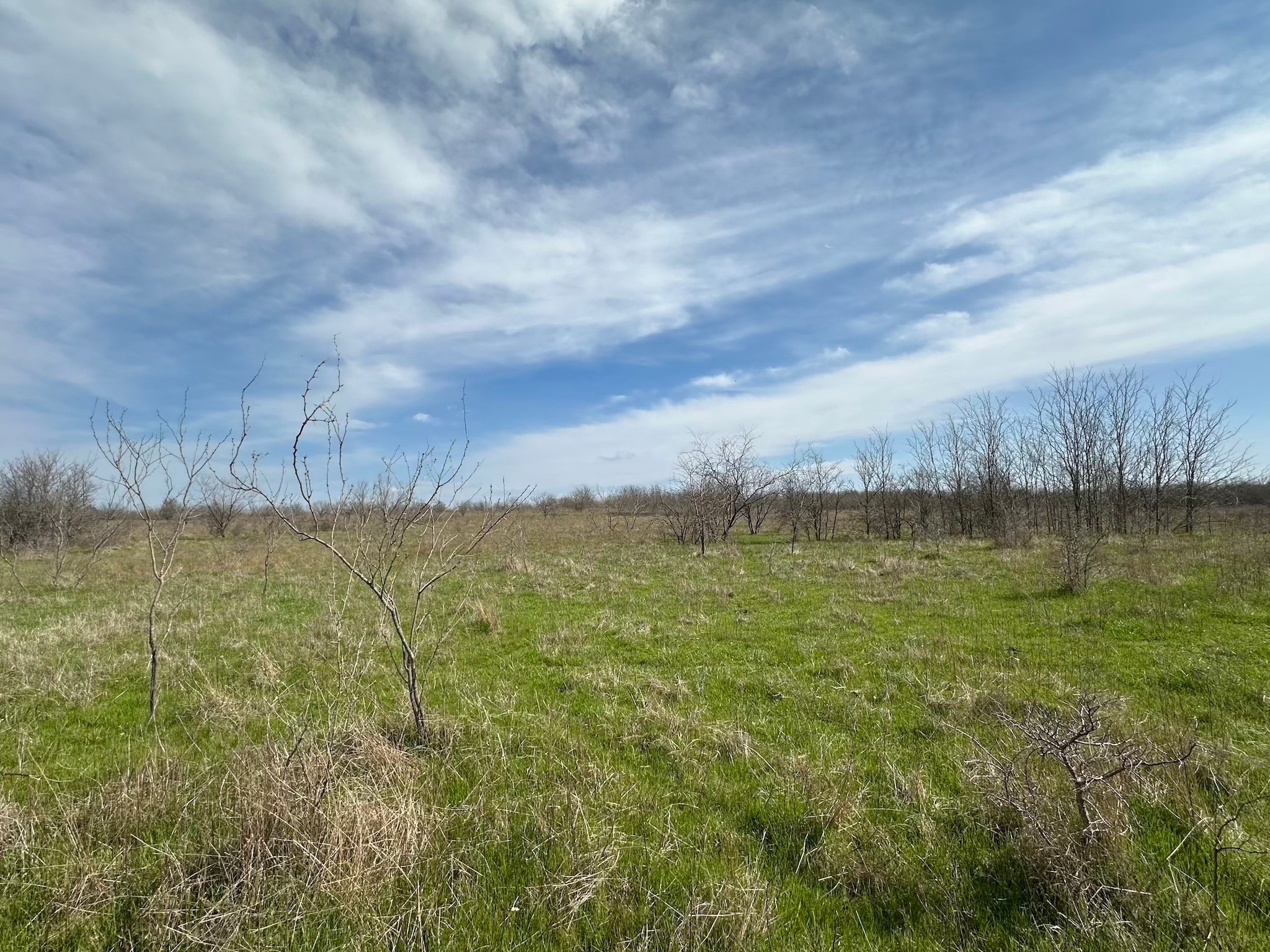 Tract 1A (42.11acs) SW Frontage Road I-45