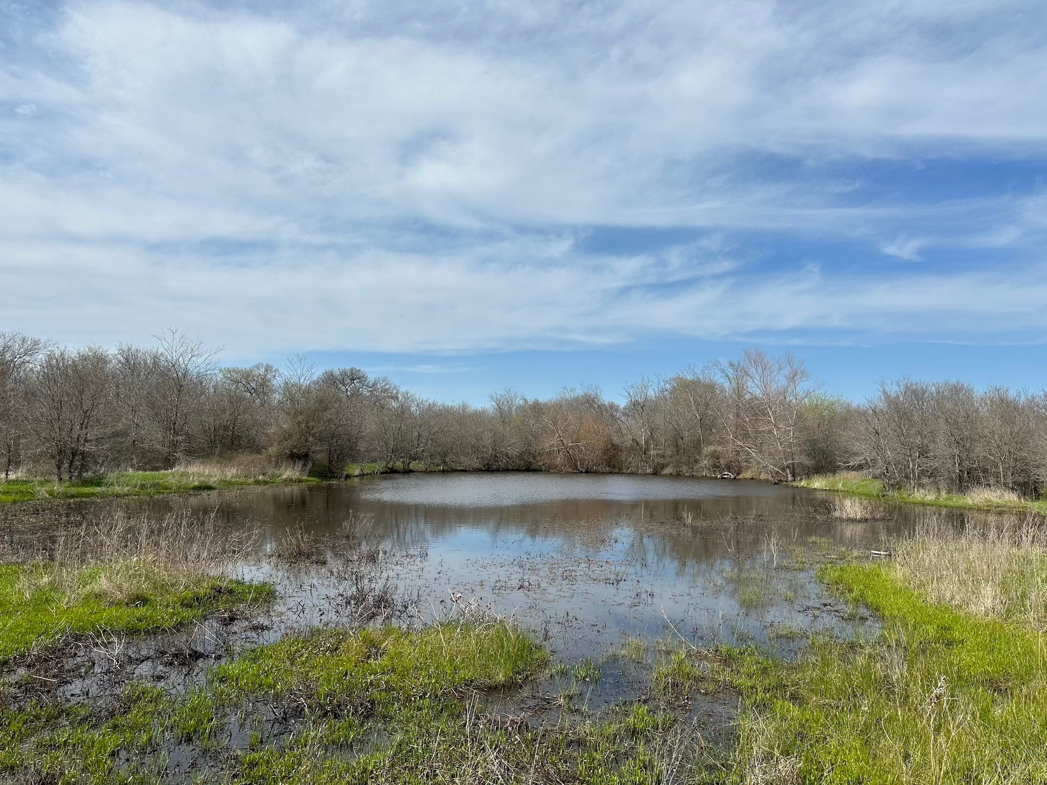 Tract 1A (42.11acs) SW Frontage Road I-45