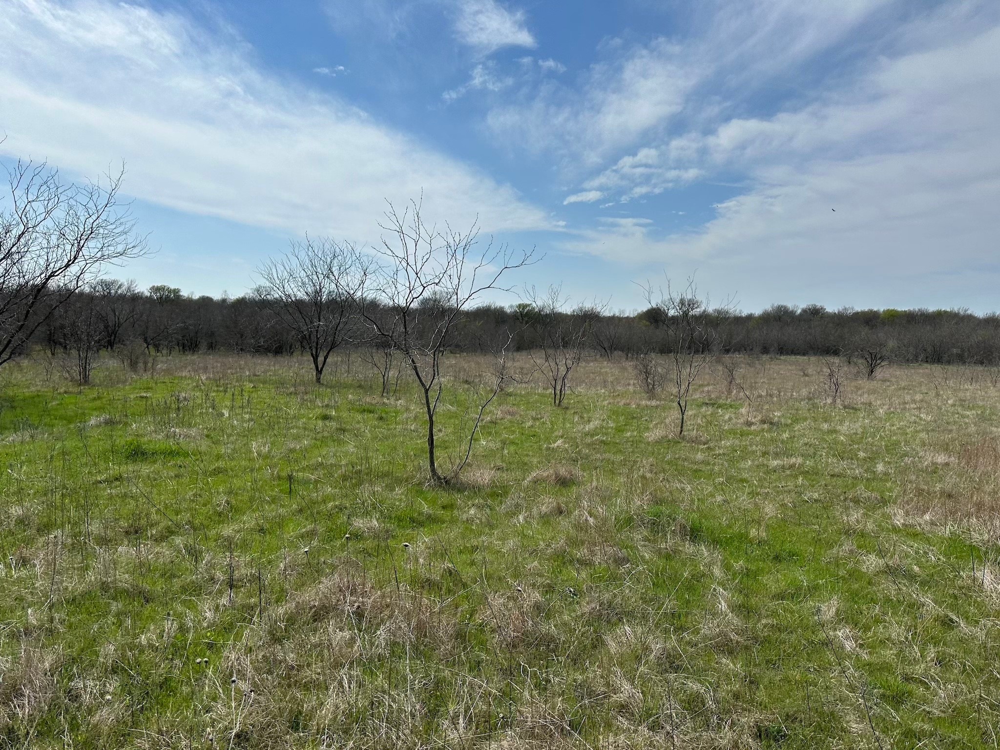 Tract 1A (42.11acs) SW Frontage Road I-45