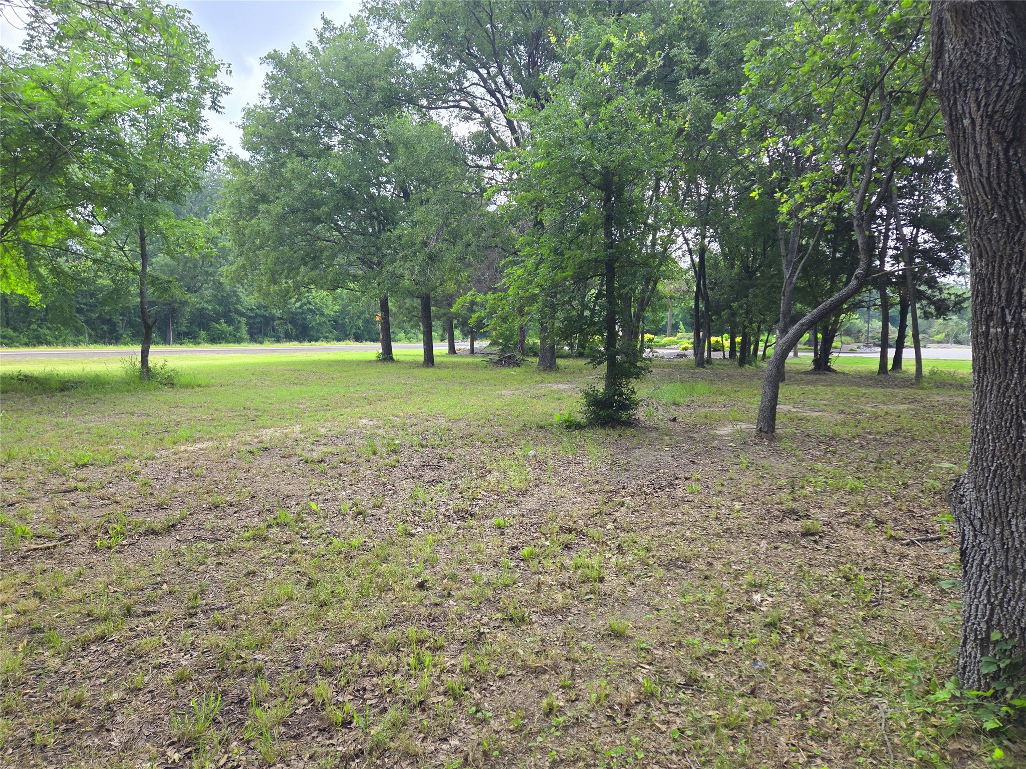 Lot 333 Spur 294