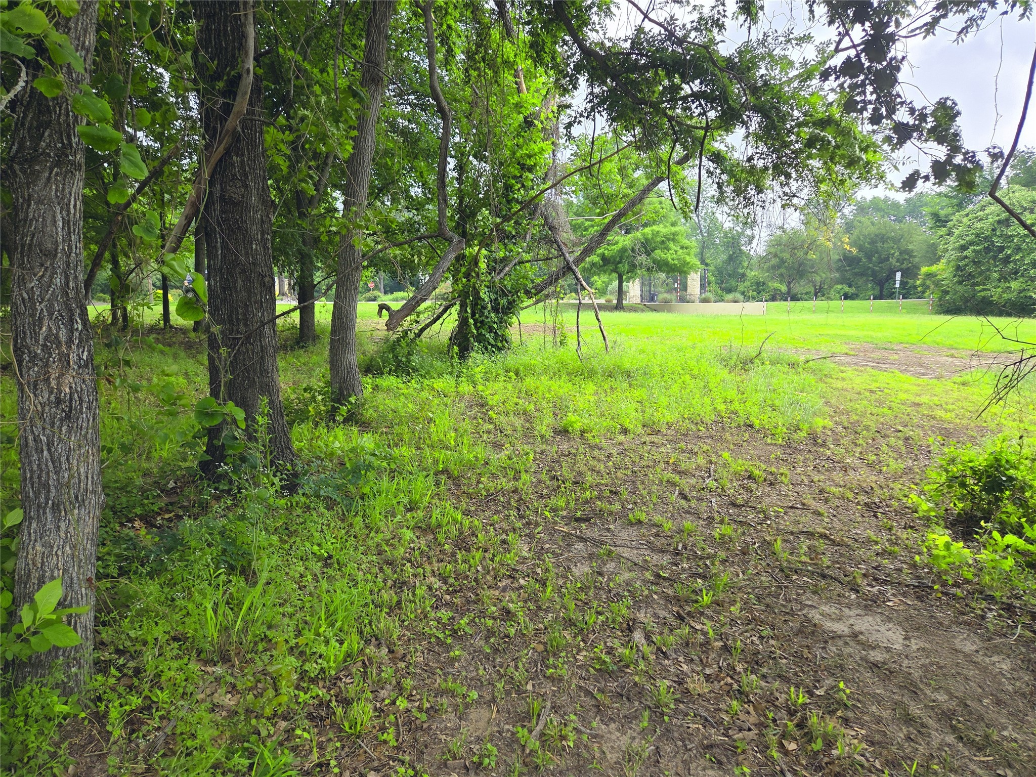 Lot 333 Spur 294