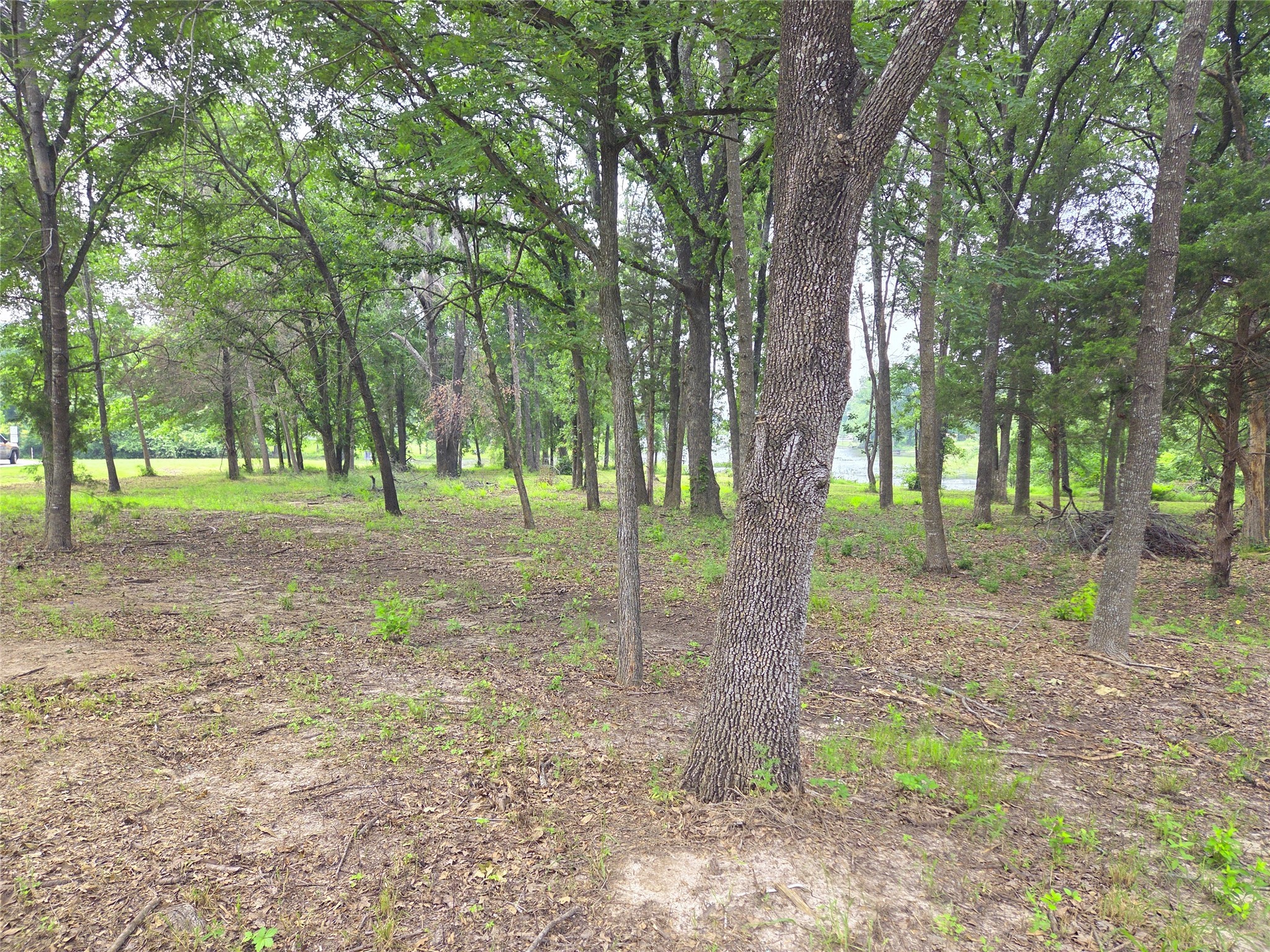 Lot 333 Spur 294