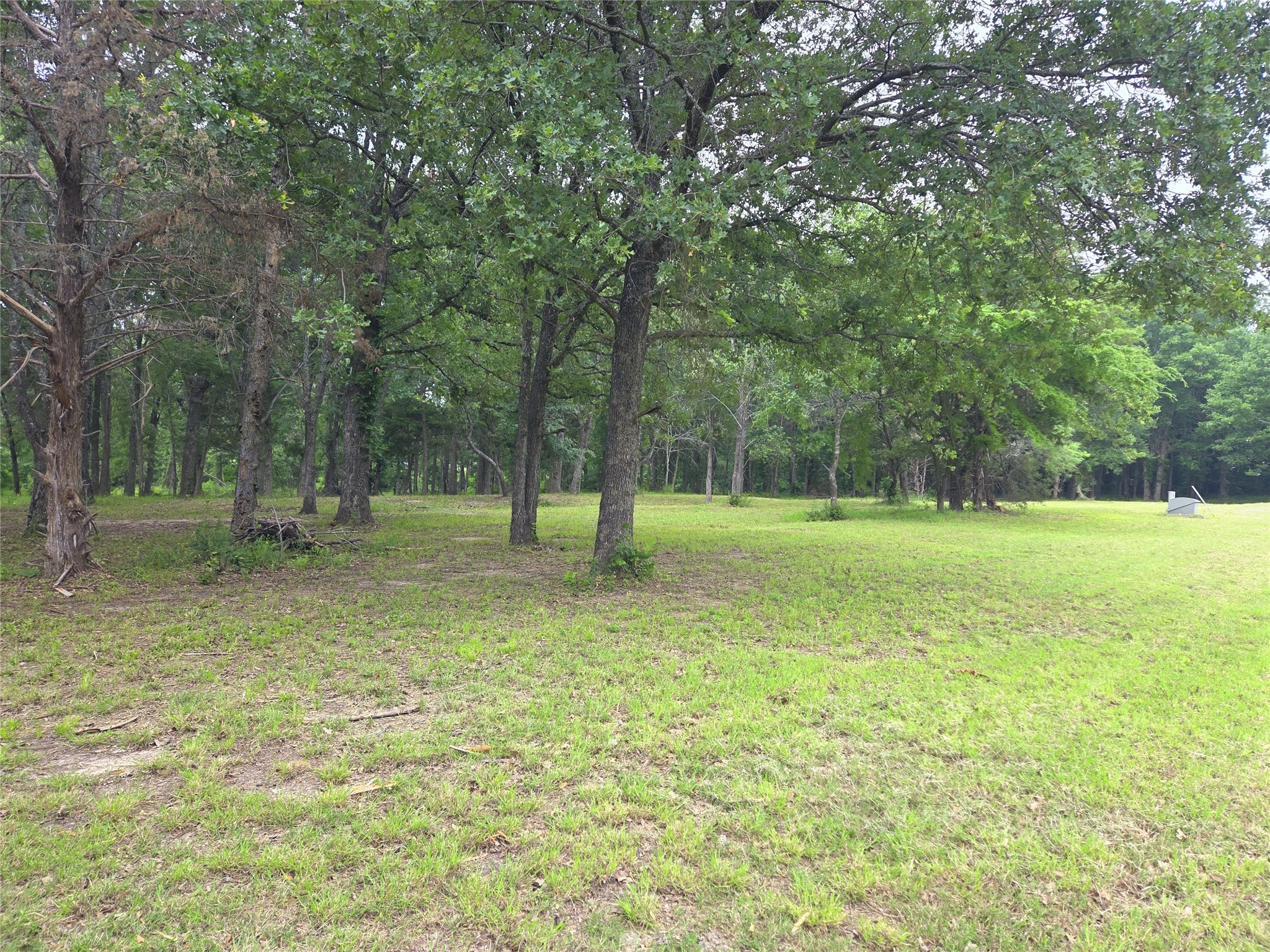 Lot 333 Spur 294
