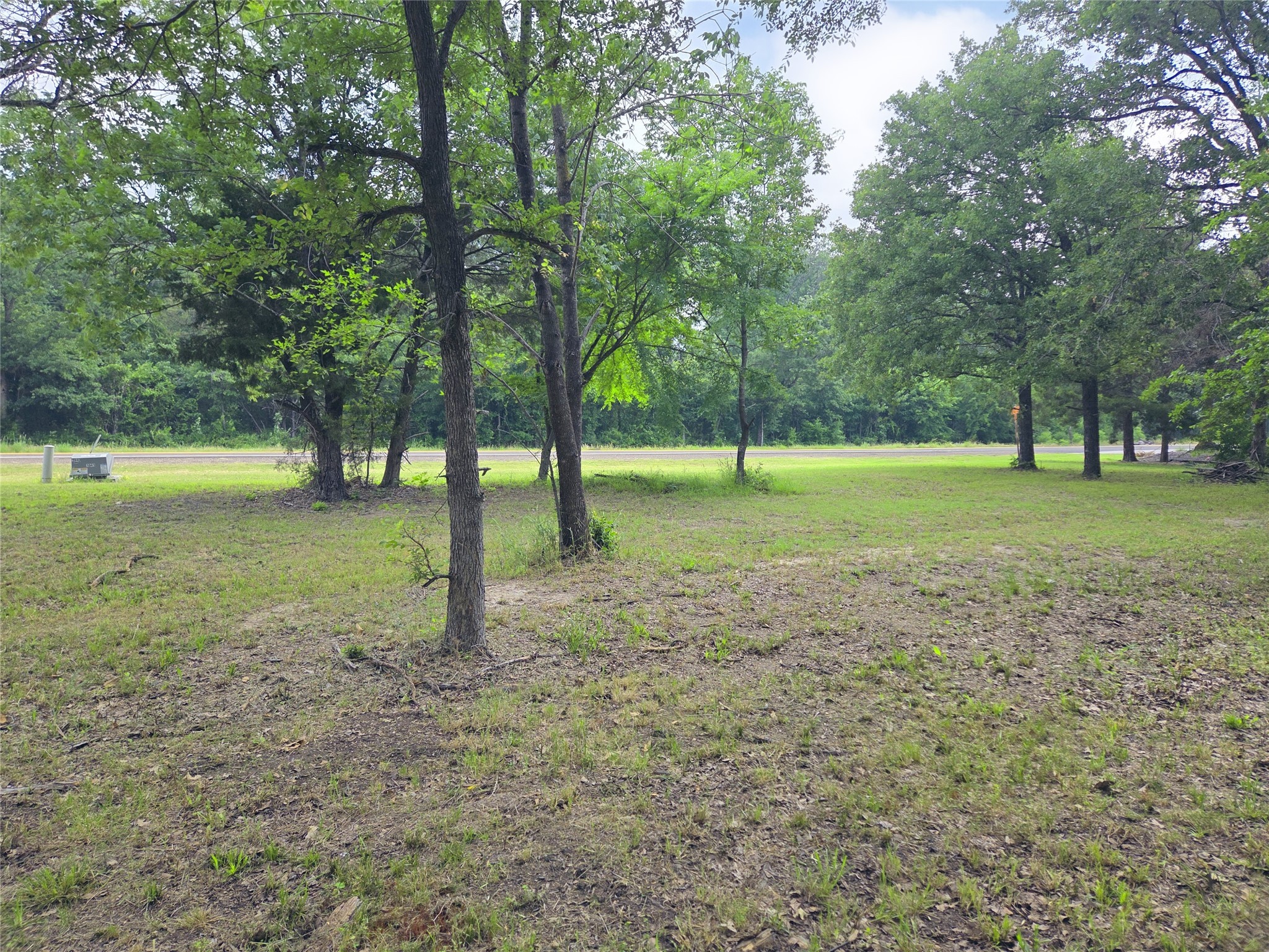 Lot 333 Spur 294