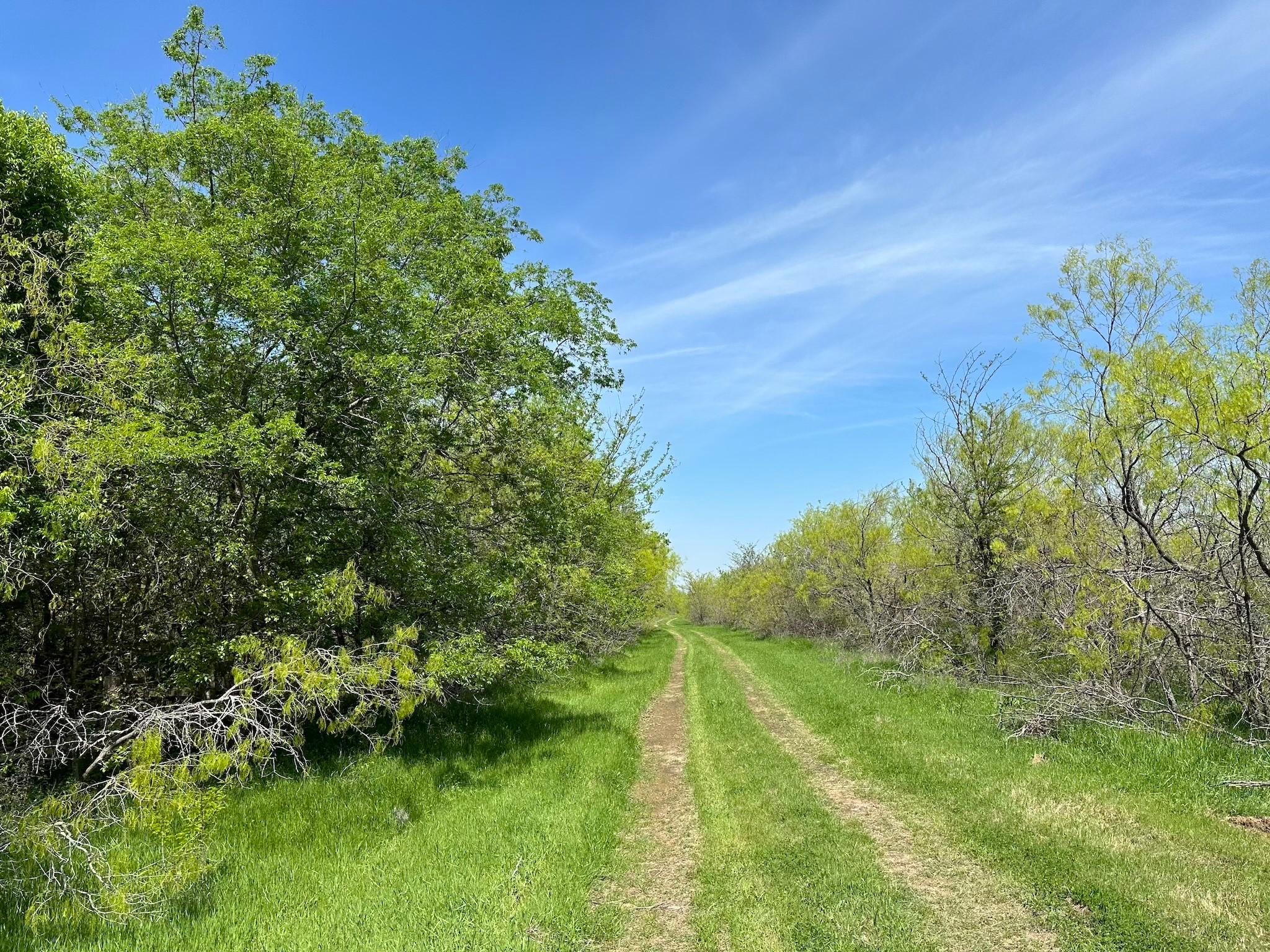 TBD 149.71 Acres SE CR 1240